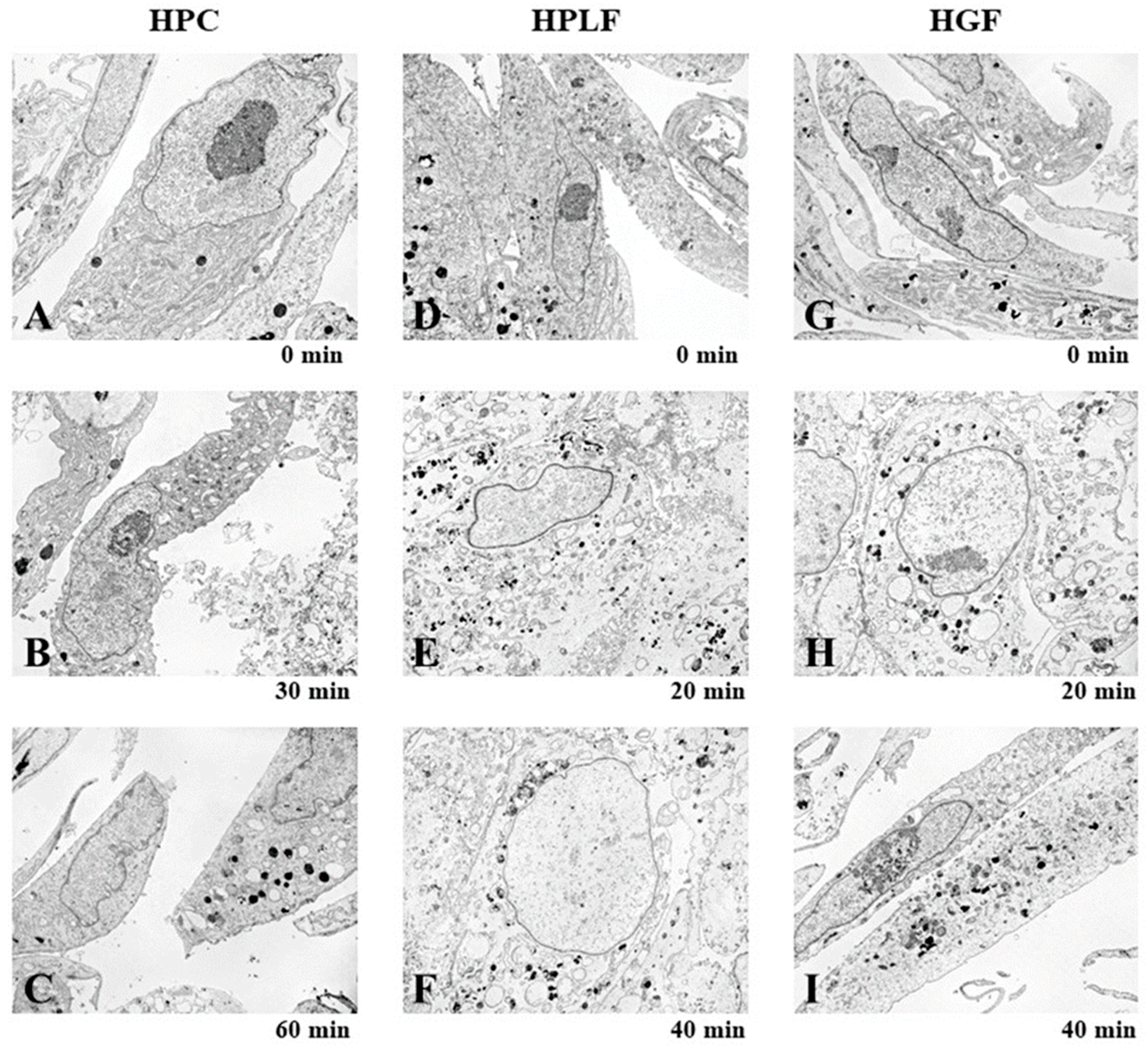 Medicines 05 00116 g009 Medicines 05 00116 g009