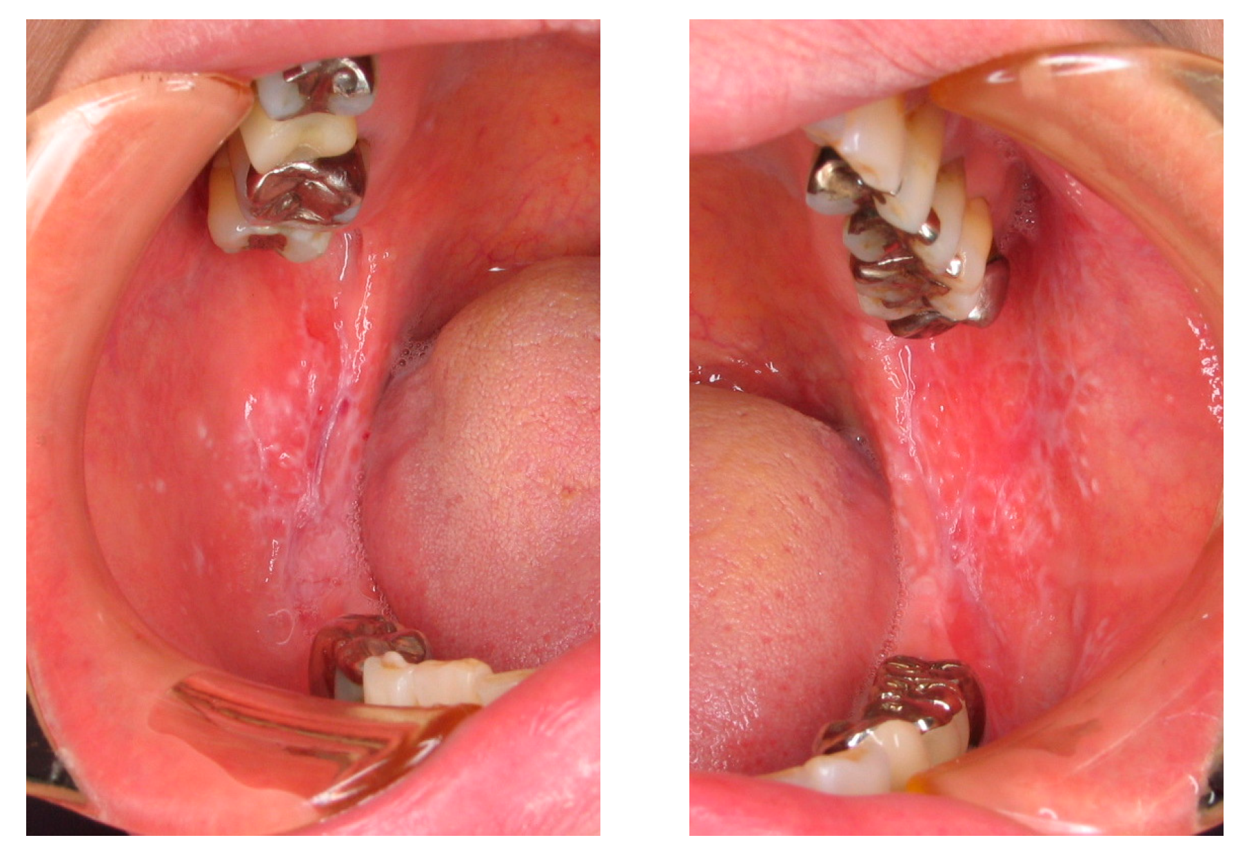 Medicines 05 00118 g002