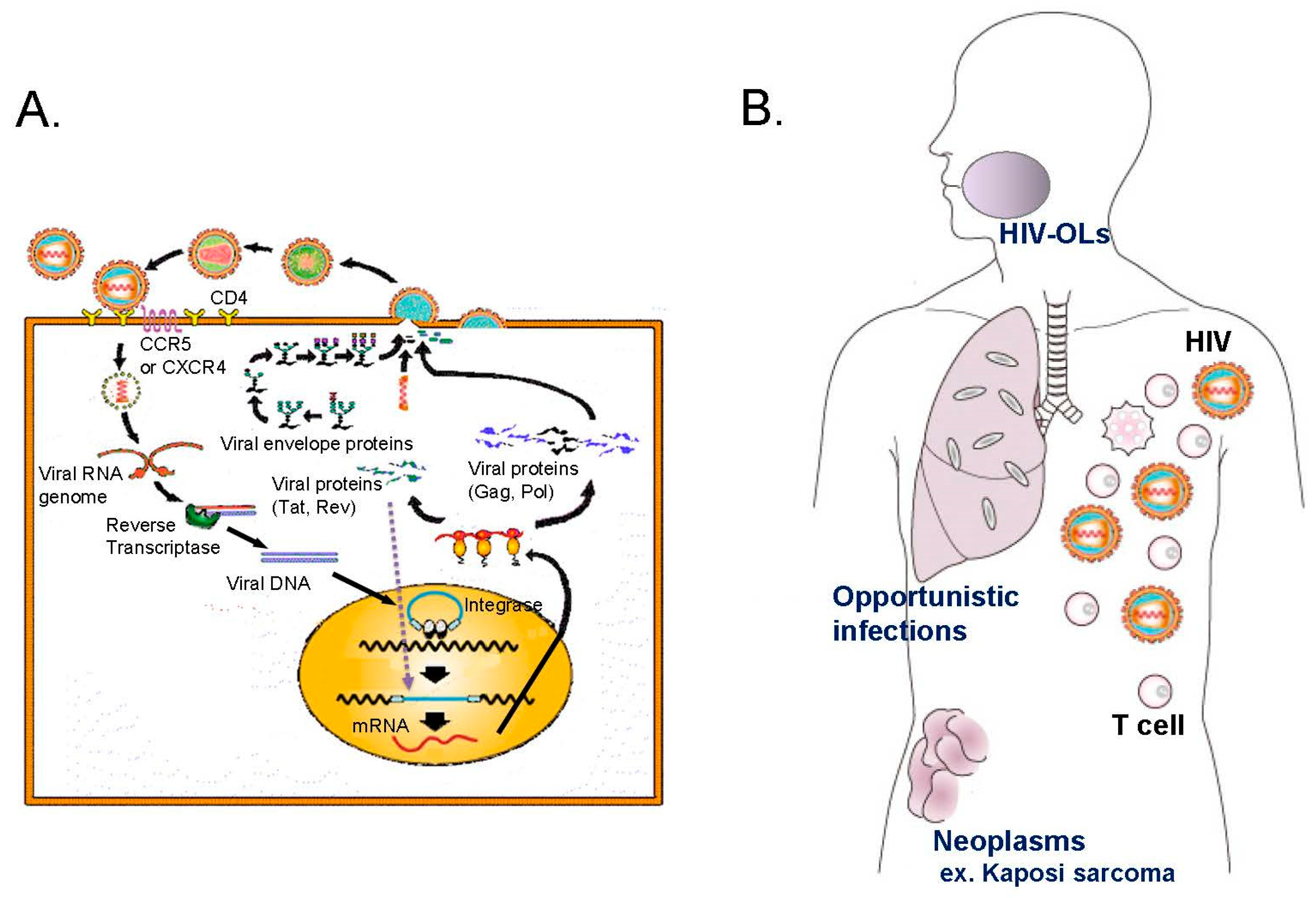 Medicines 05 00120 g001a