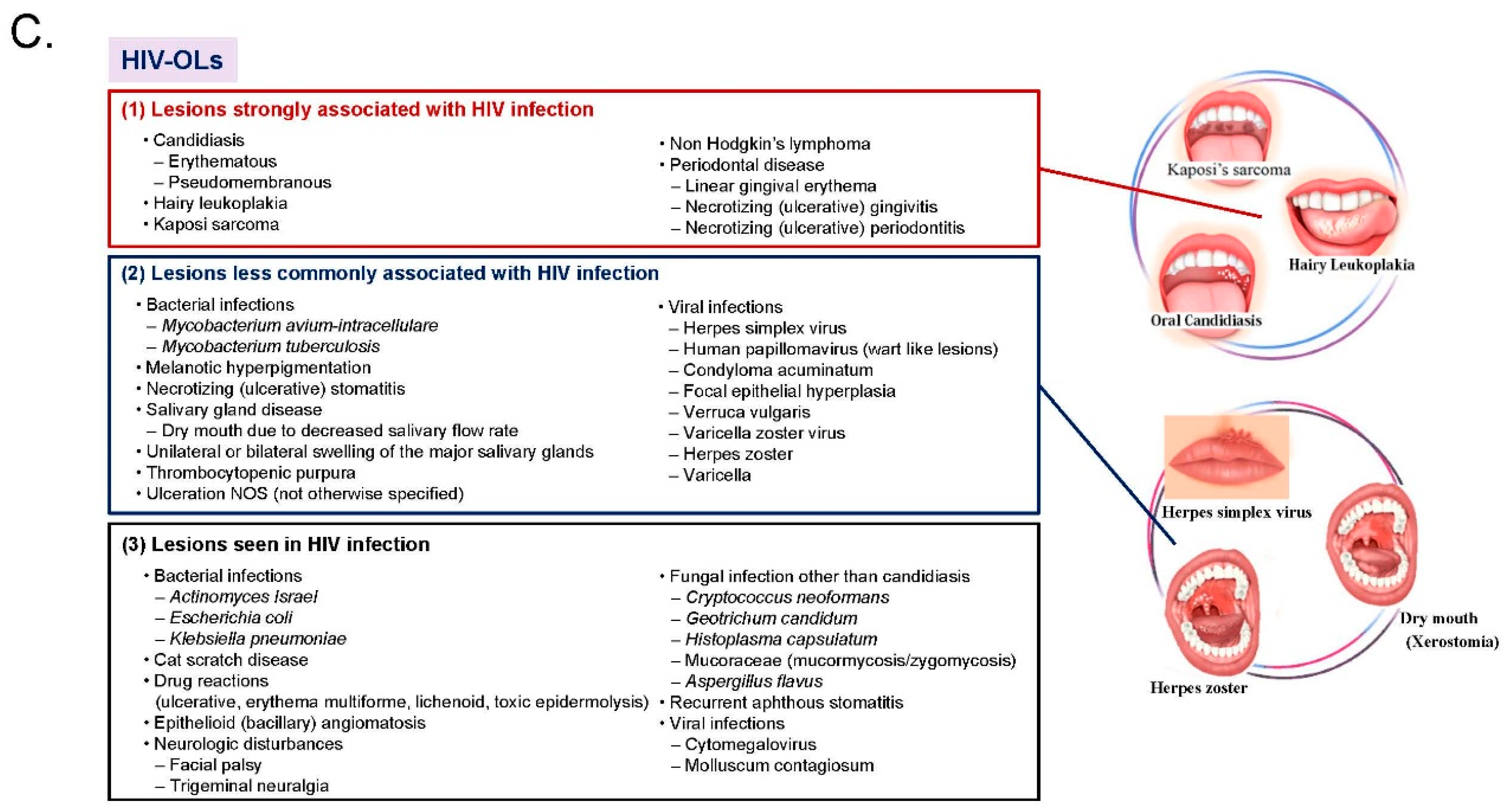 Medicines 05 00120 g001b