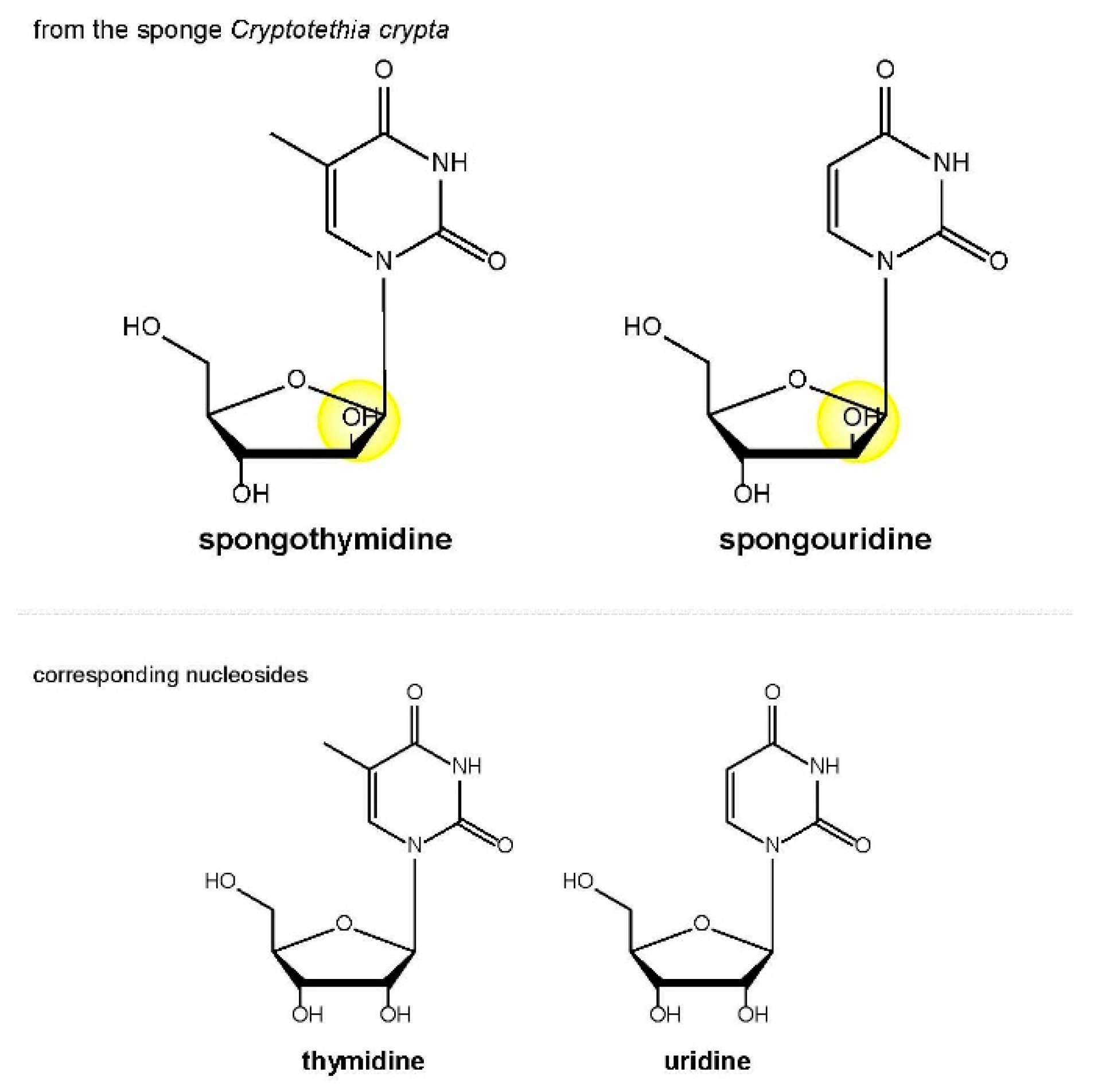 Medicines 05 00120 g002