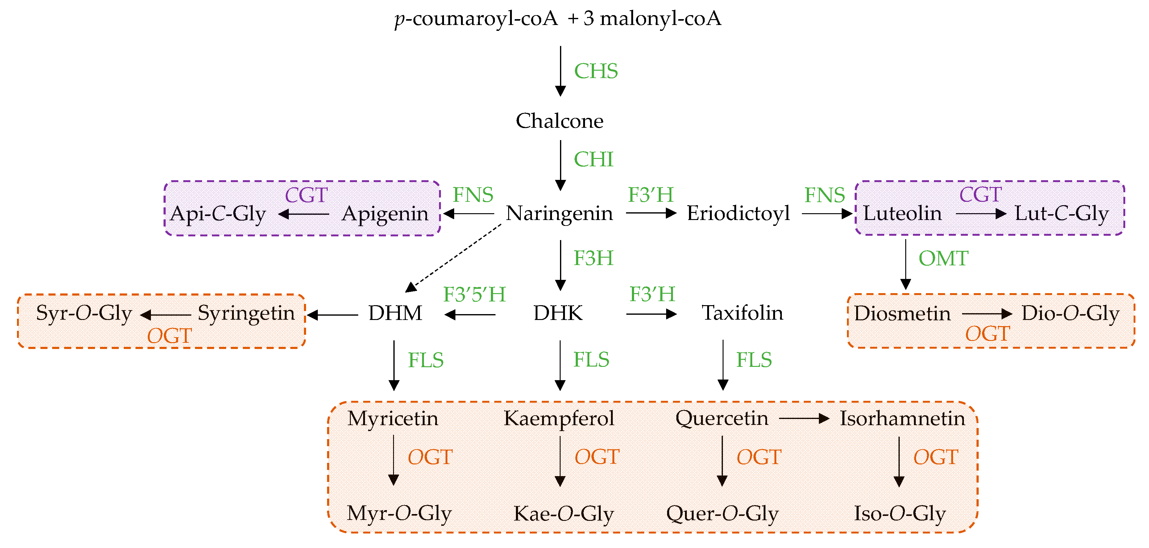 Medicines 05 00127 g005