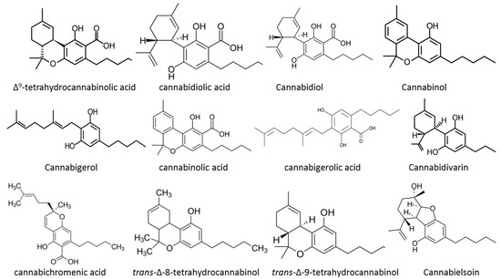 Medicines Free Full Text Cannabis And Its Secondary Metabolites Their Use As Therapeutic Drugs Toxicological Aspects And Analytical Determination Html Medicines Free Full Text Cannabis And Its Secondary Metabolites Their Use As Therapeutic Drugs Toxicological Aspects And Analytical Determination Html