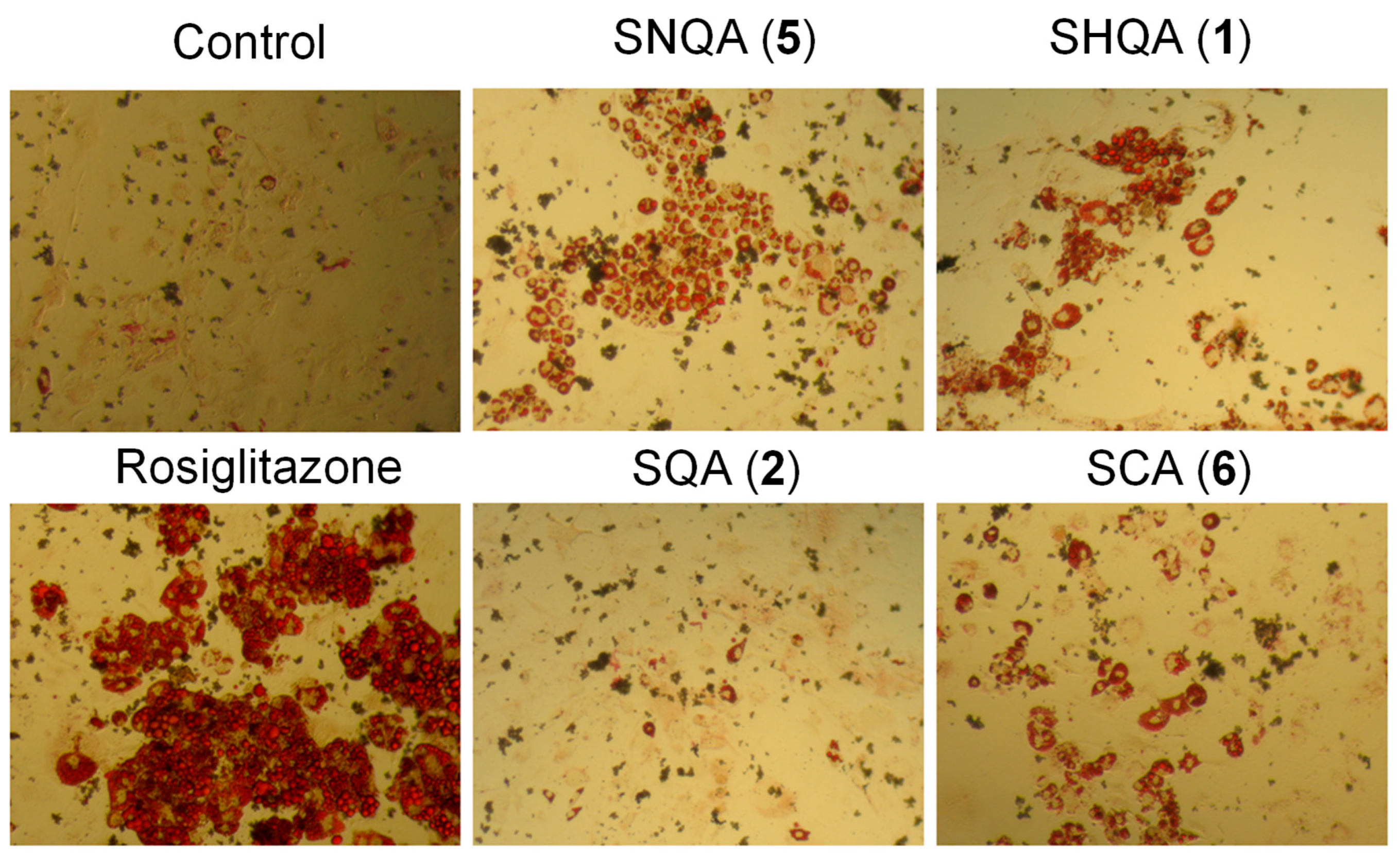 Medicines 06 00049 g004