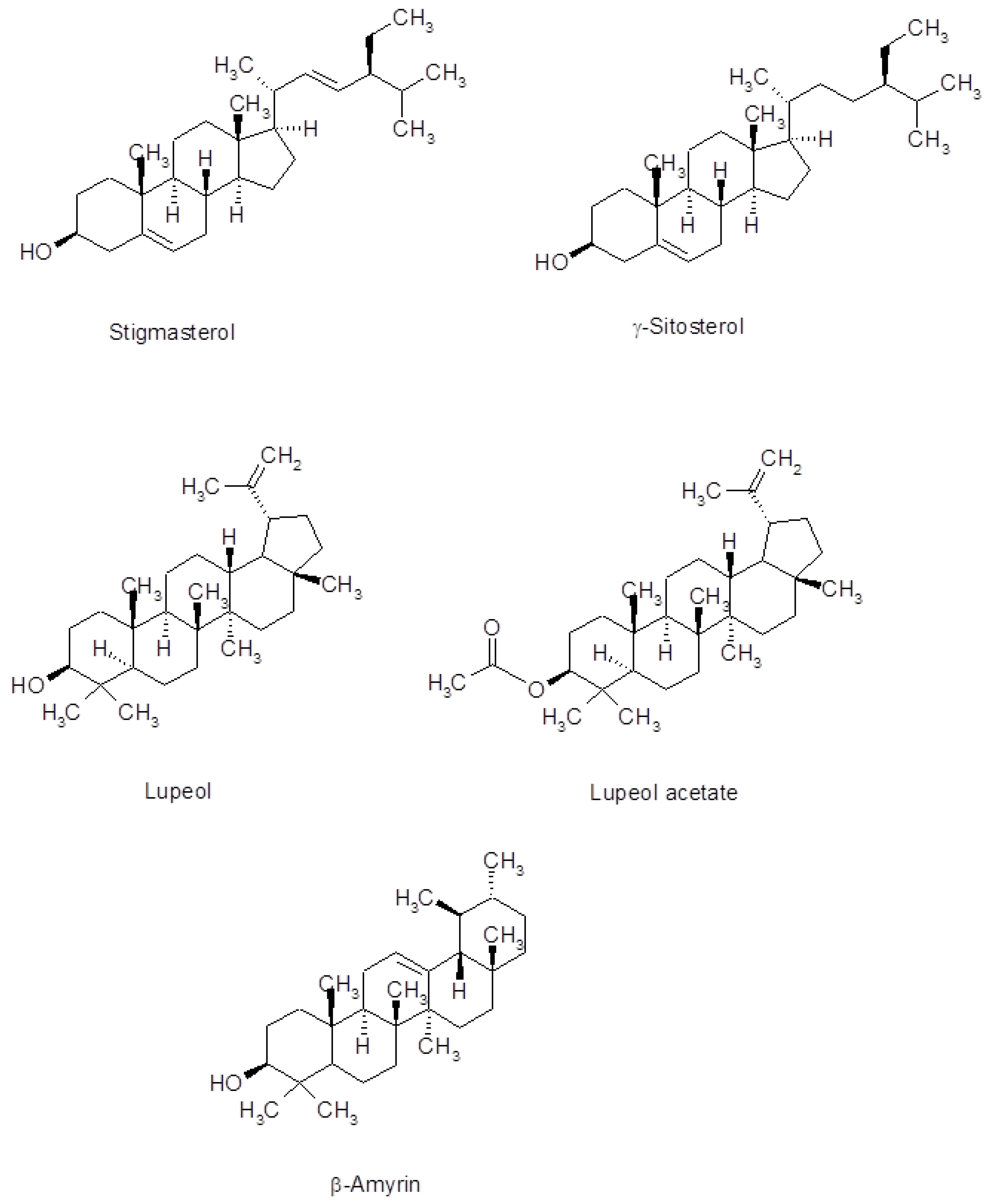 Medicines 06 00053 g002 Medicines 06 00053 g002