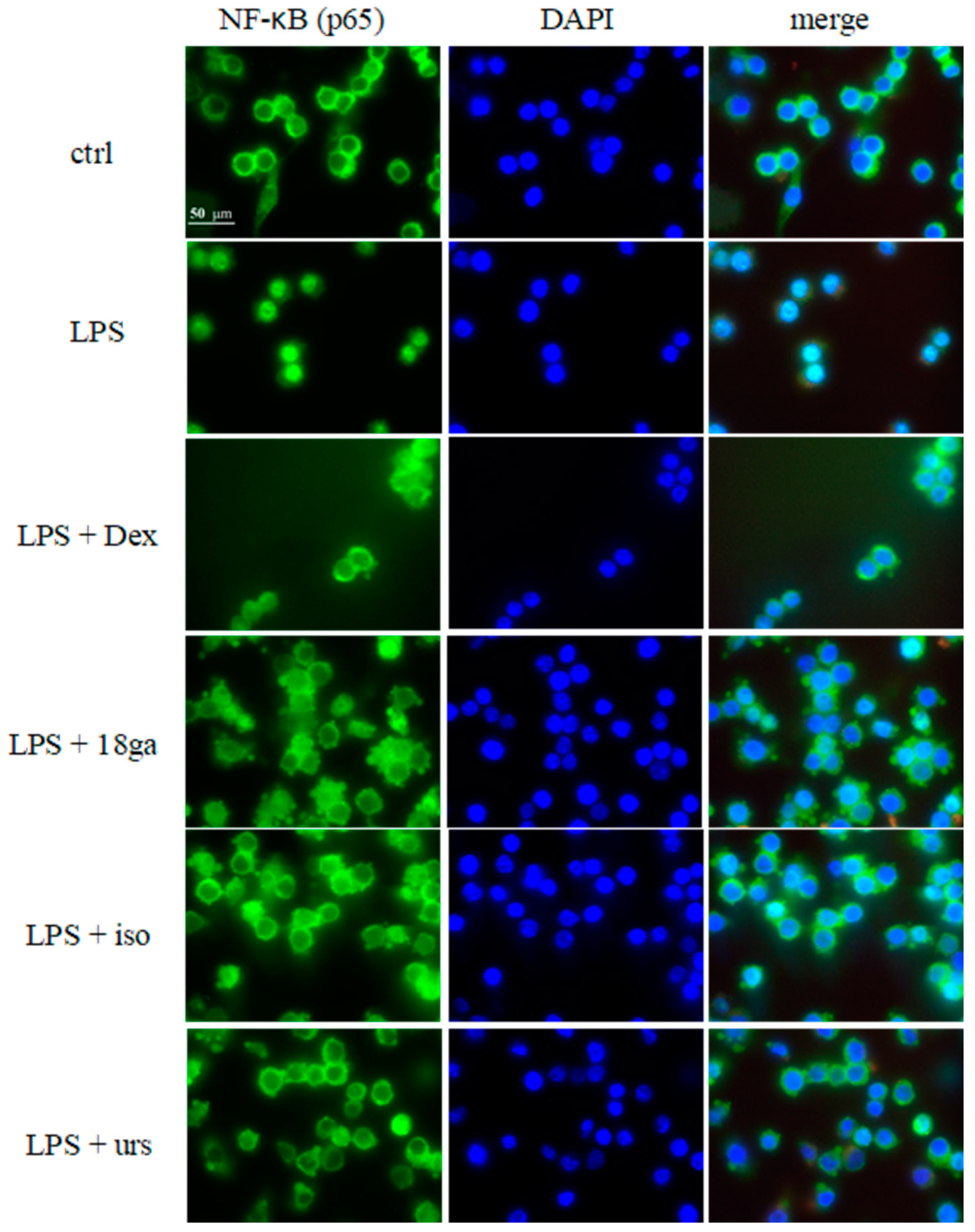 Medicines 06 00055 g004a