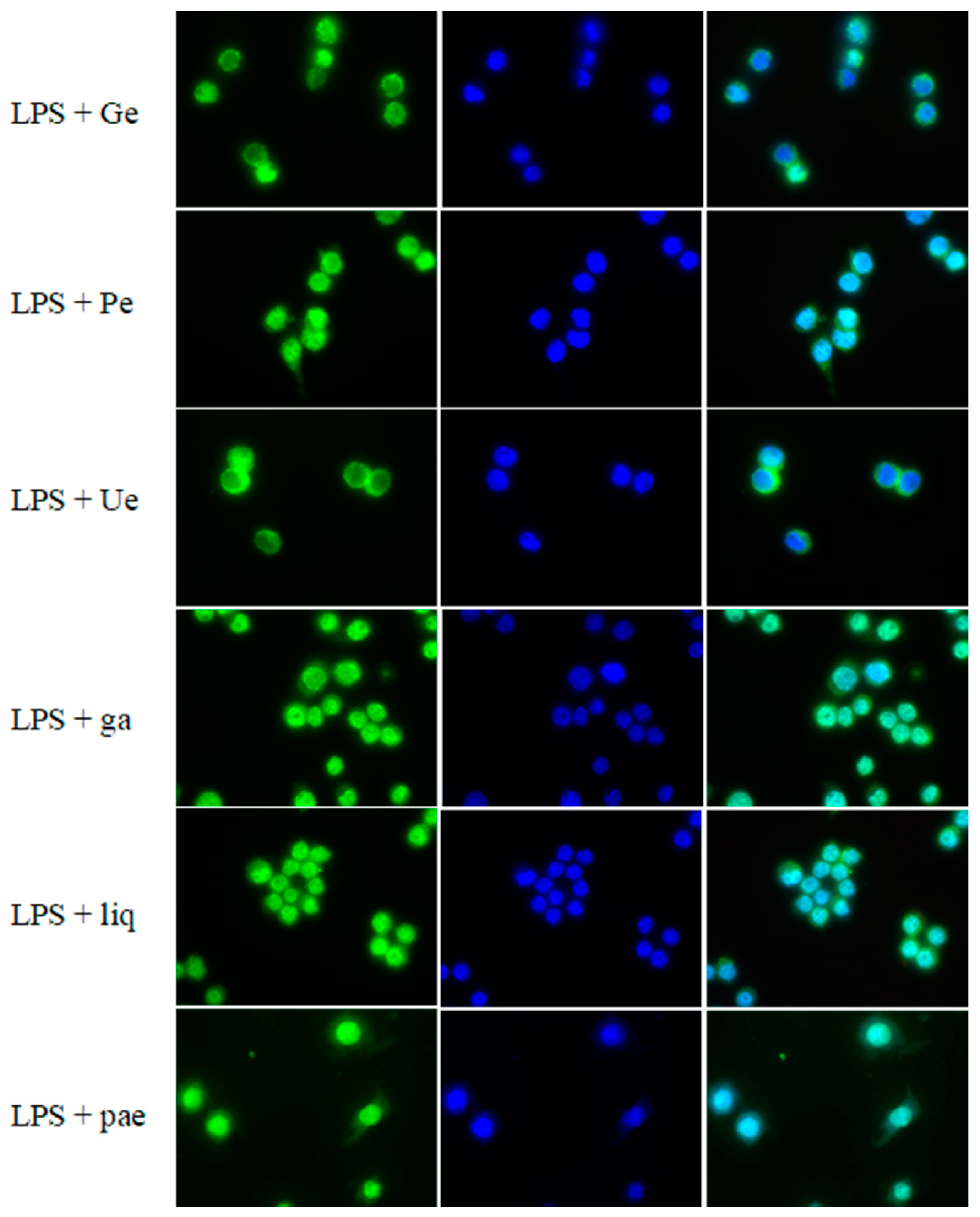 Medicines 06 00055 g004b