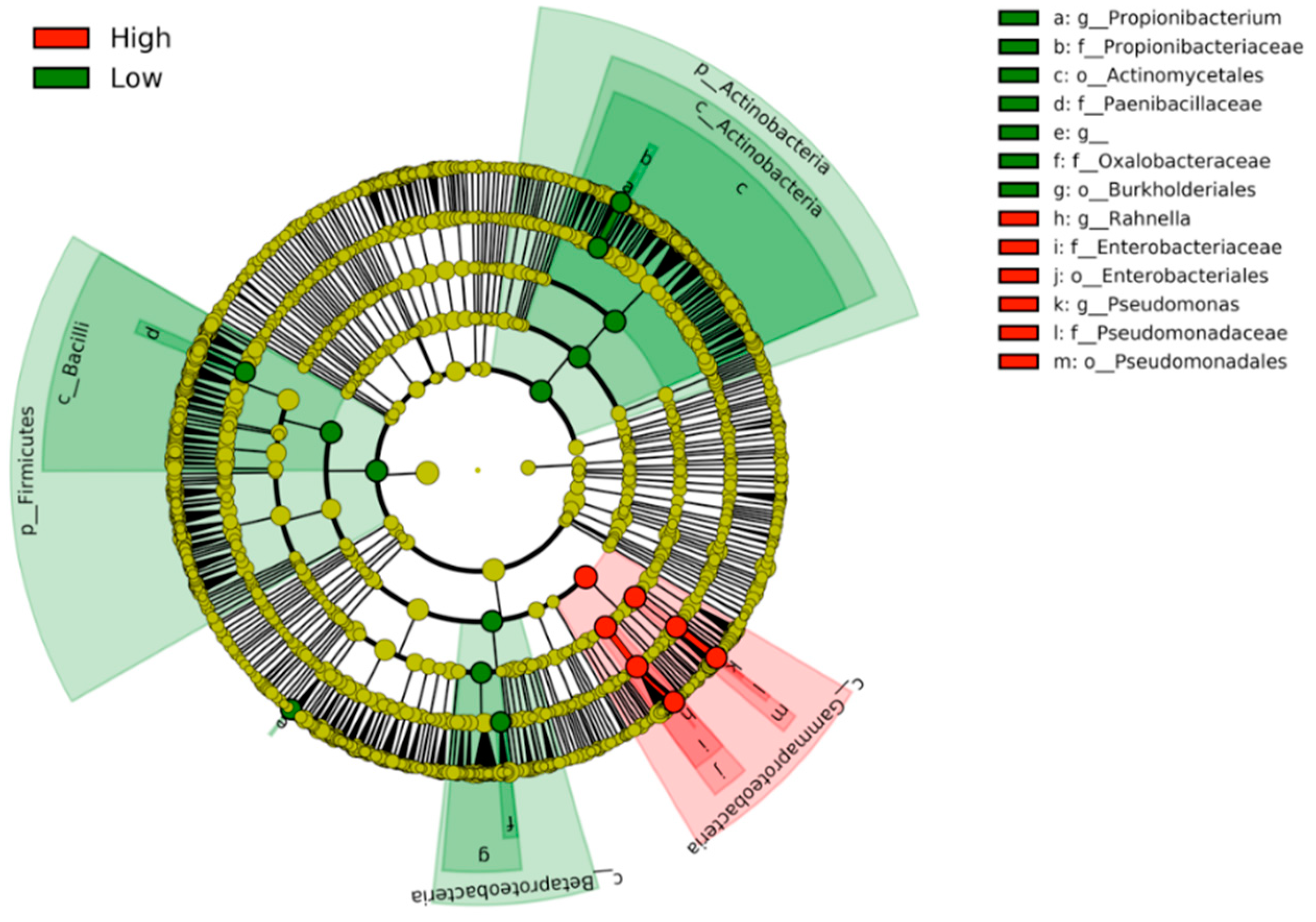 Medicines 06 00062 g004