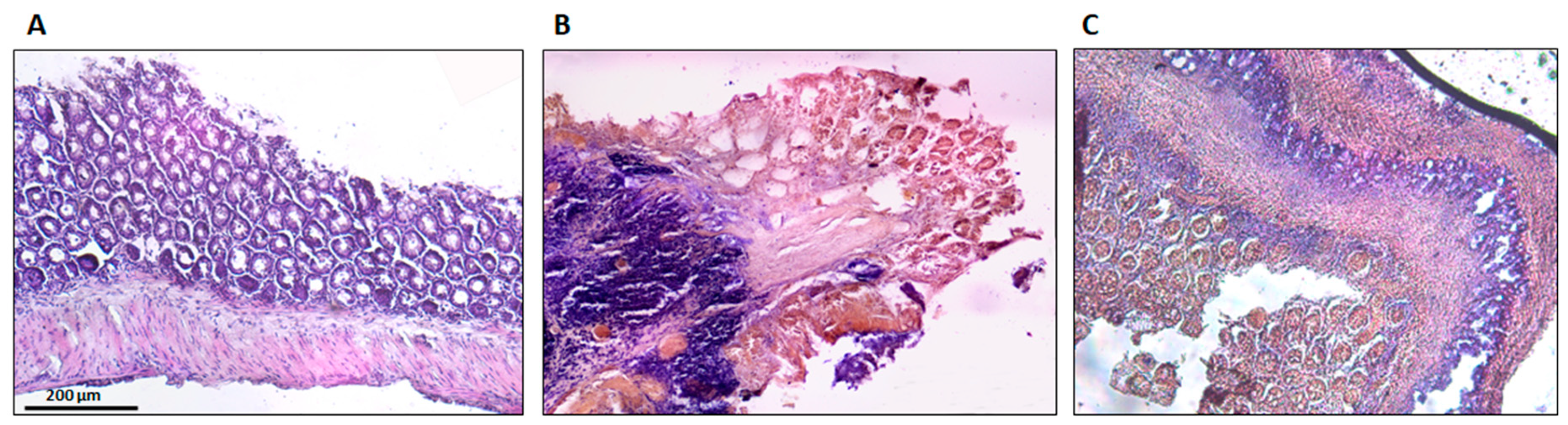 Medicines 06 00065 g008