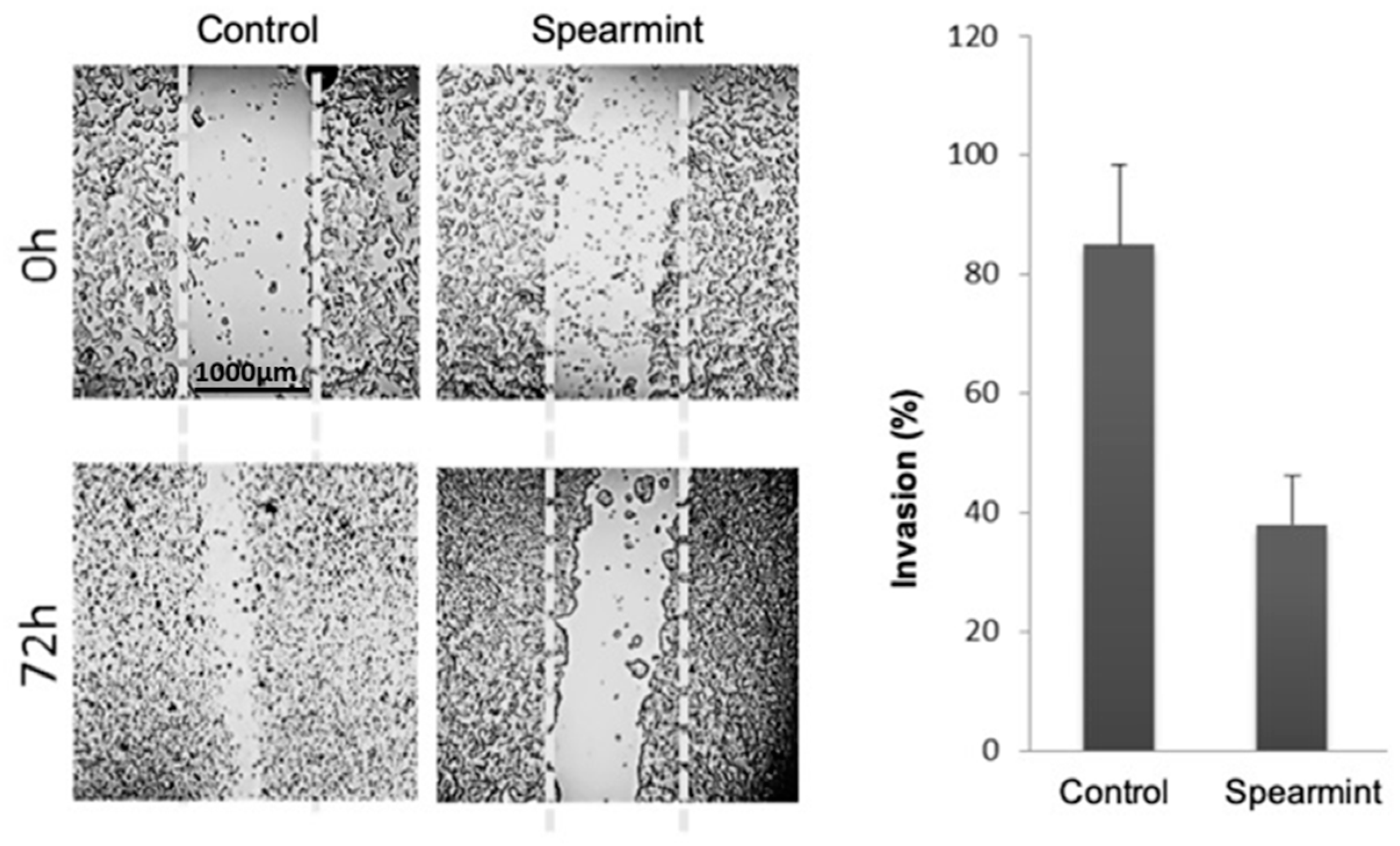 Medicines 06 00065 g011