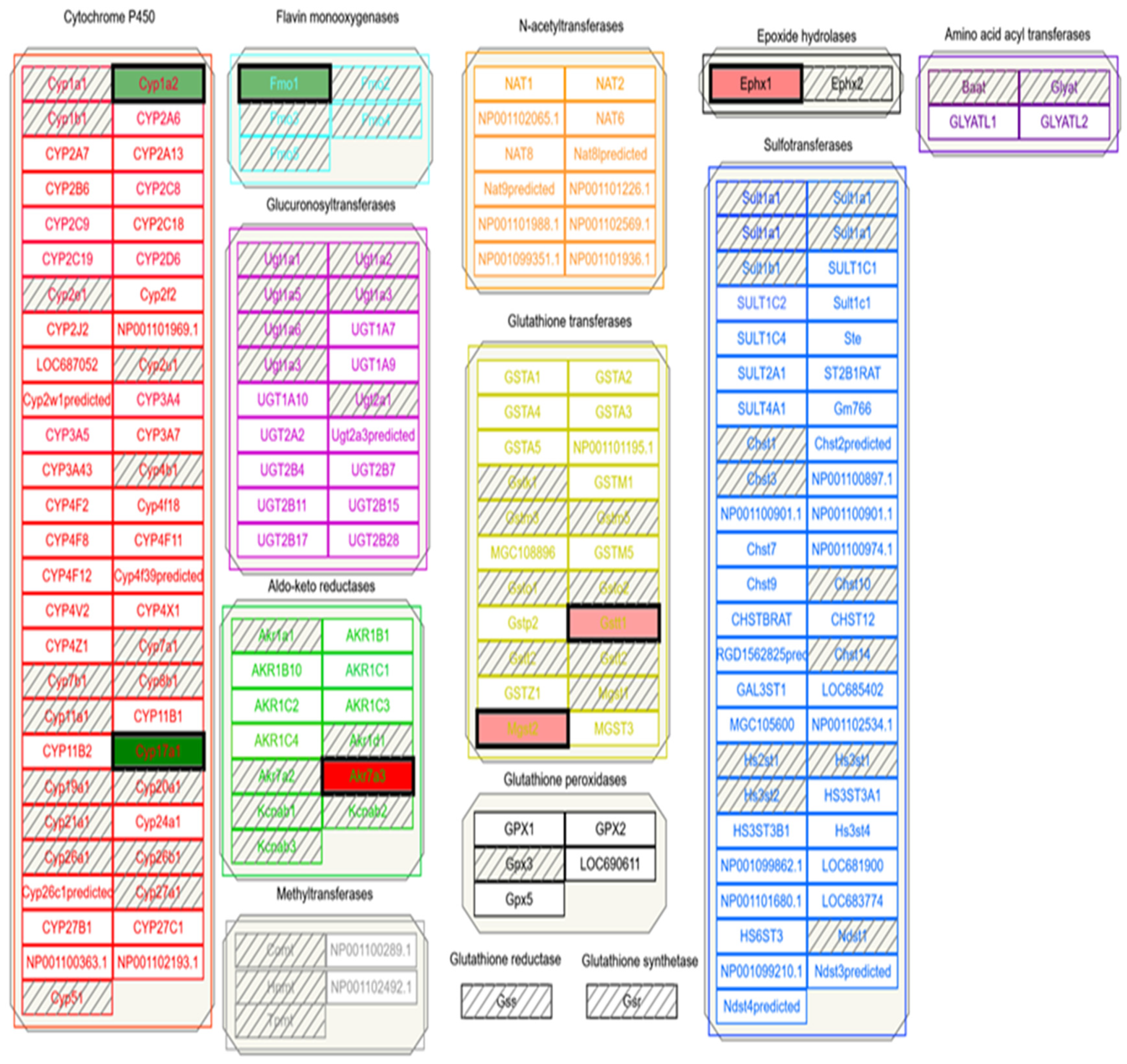 Medicines 06 00079 g005