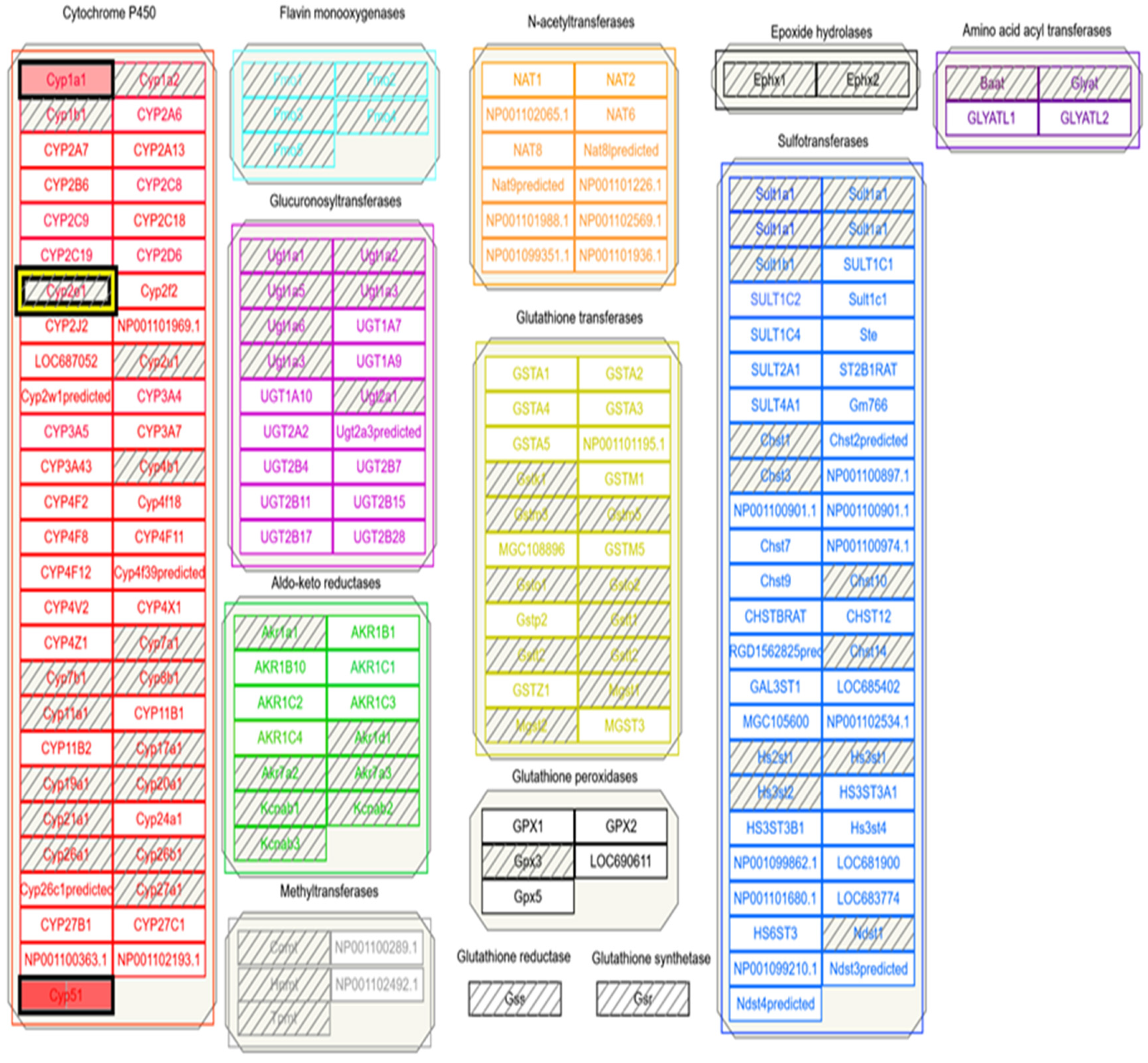 Medicines 06 00079 g006