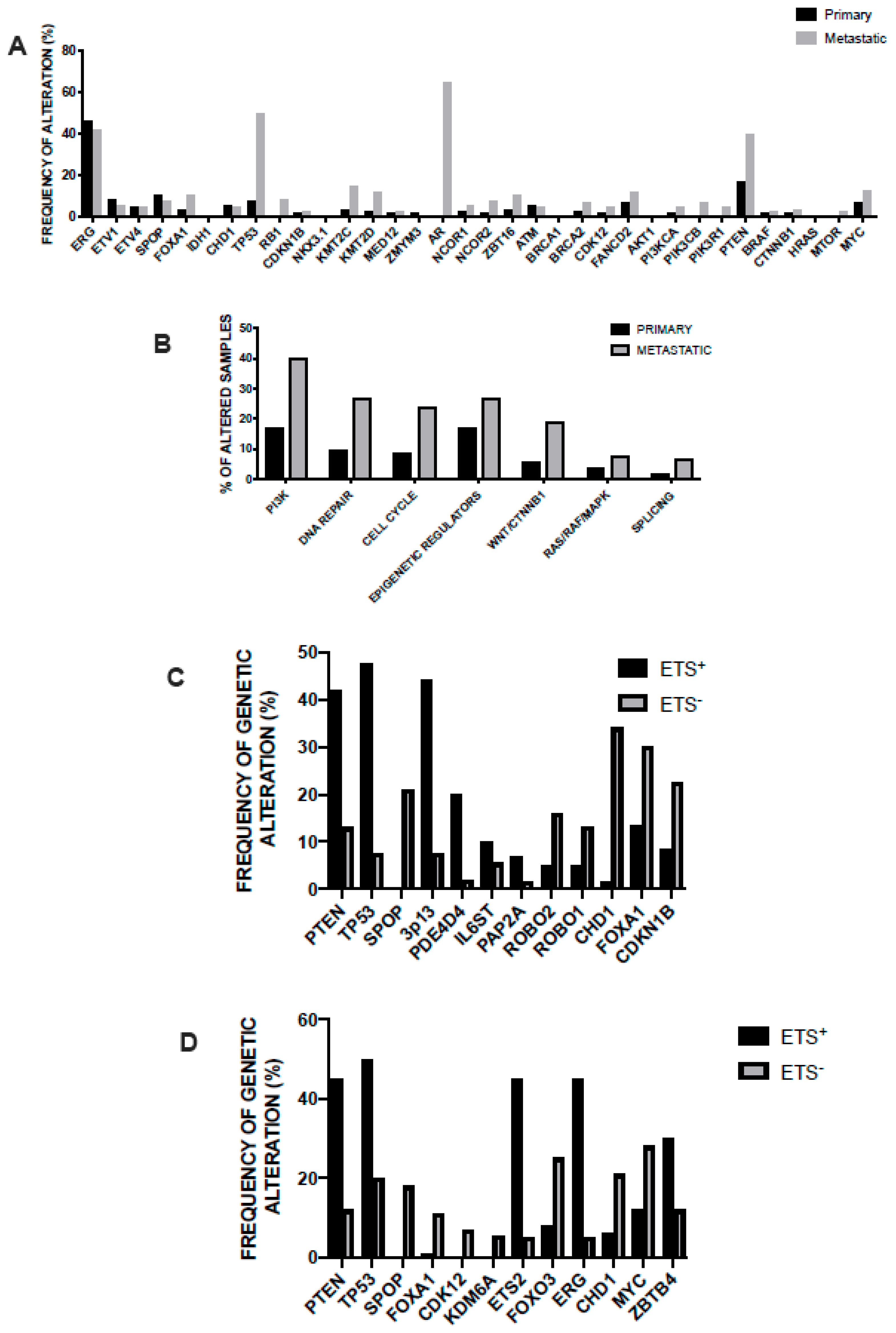 Subiecte Aditionale Histologie