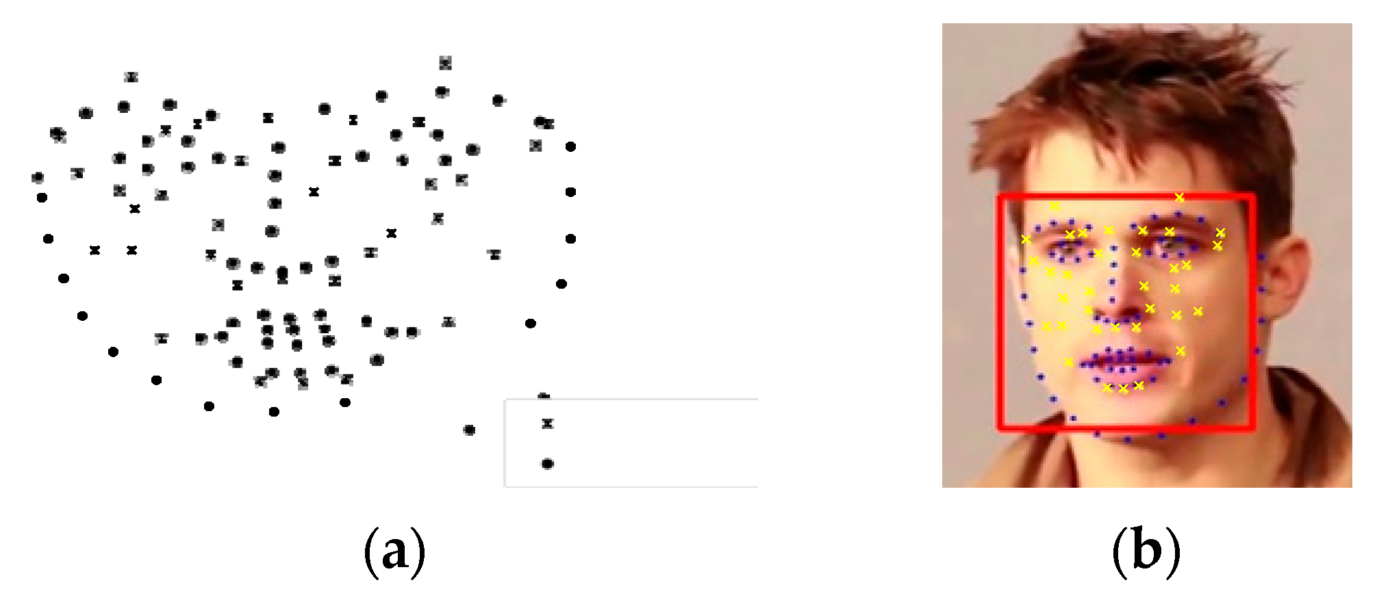 Medicines 06 00087 g005 550