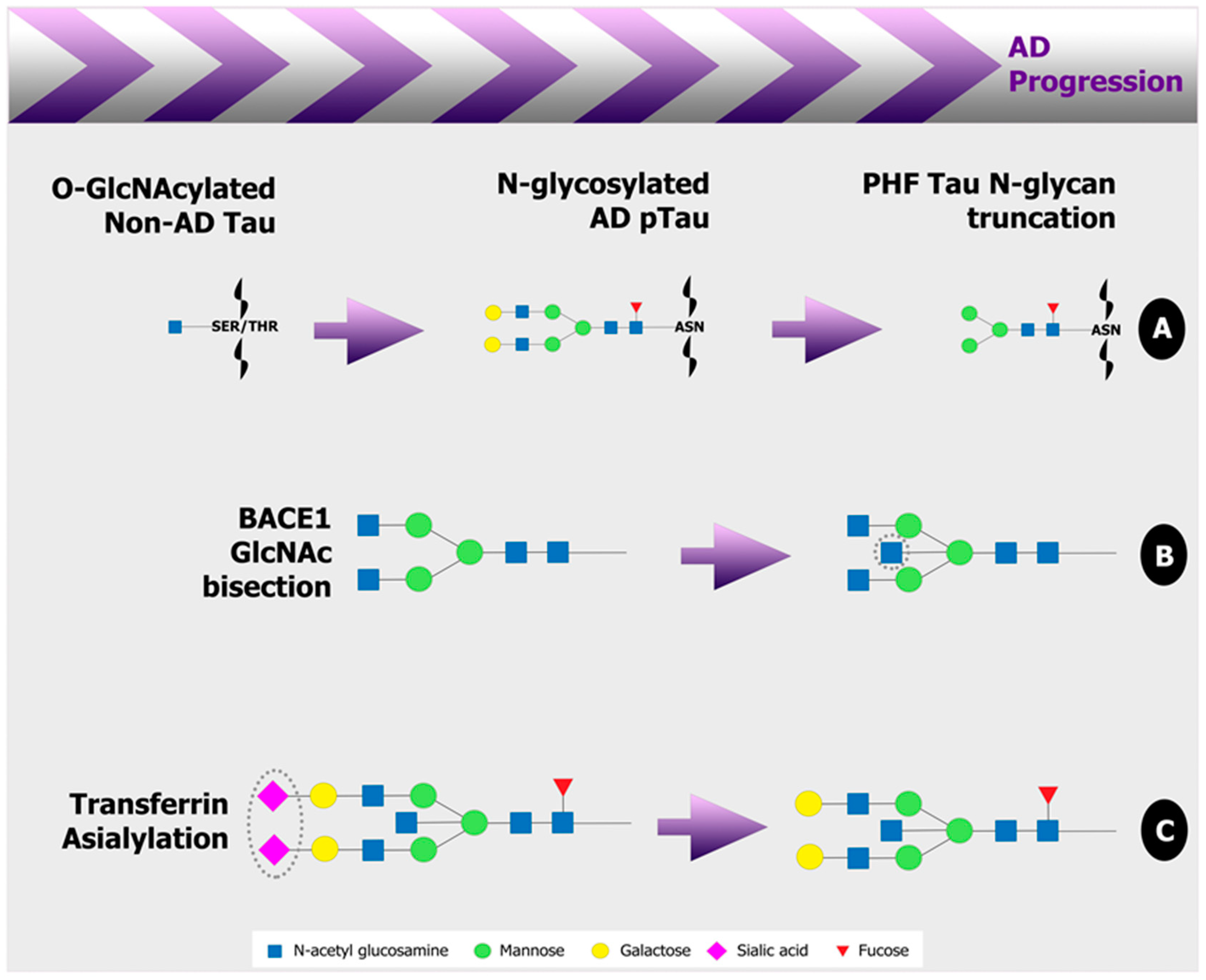 Medicines 06 00092 g002