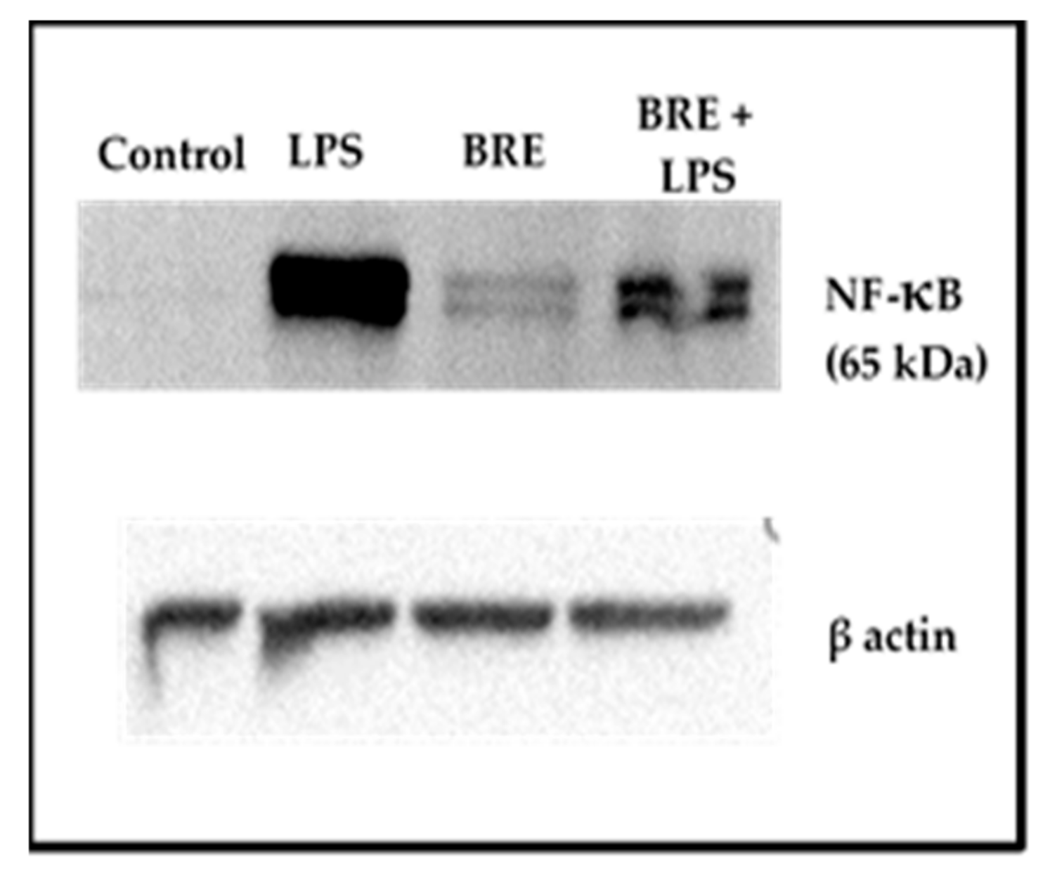 Medicines 06 00101 g006