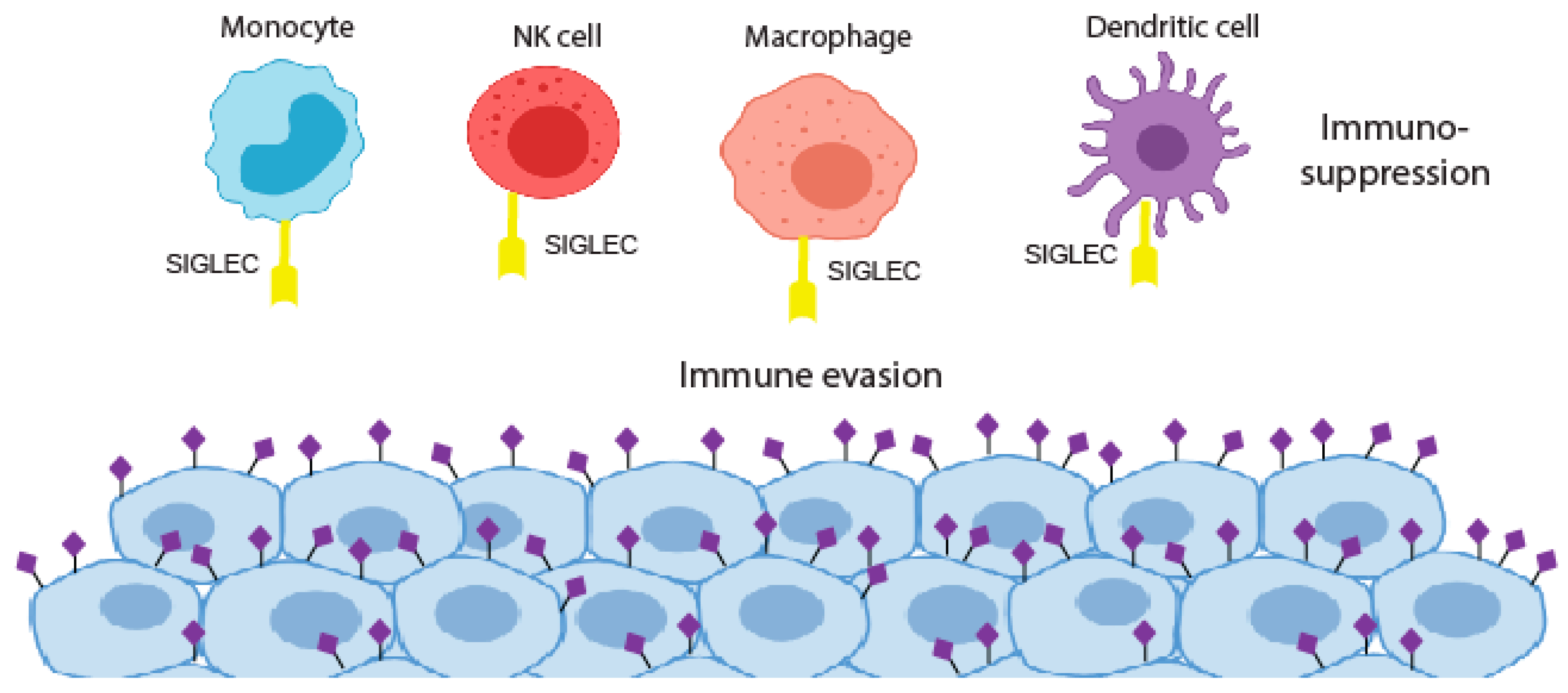 Medicines 06 00102 g002