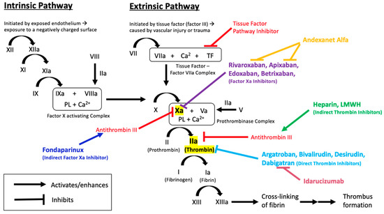 Medicines Free Full Text Direct Acting Oral Anticoagulants And Their Reversal Agents An Update Html