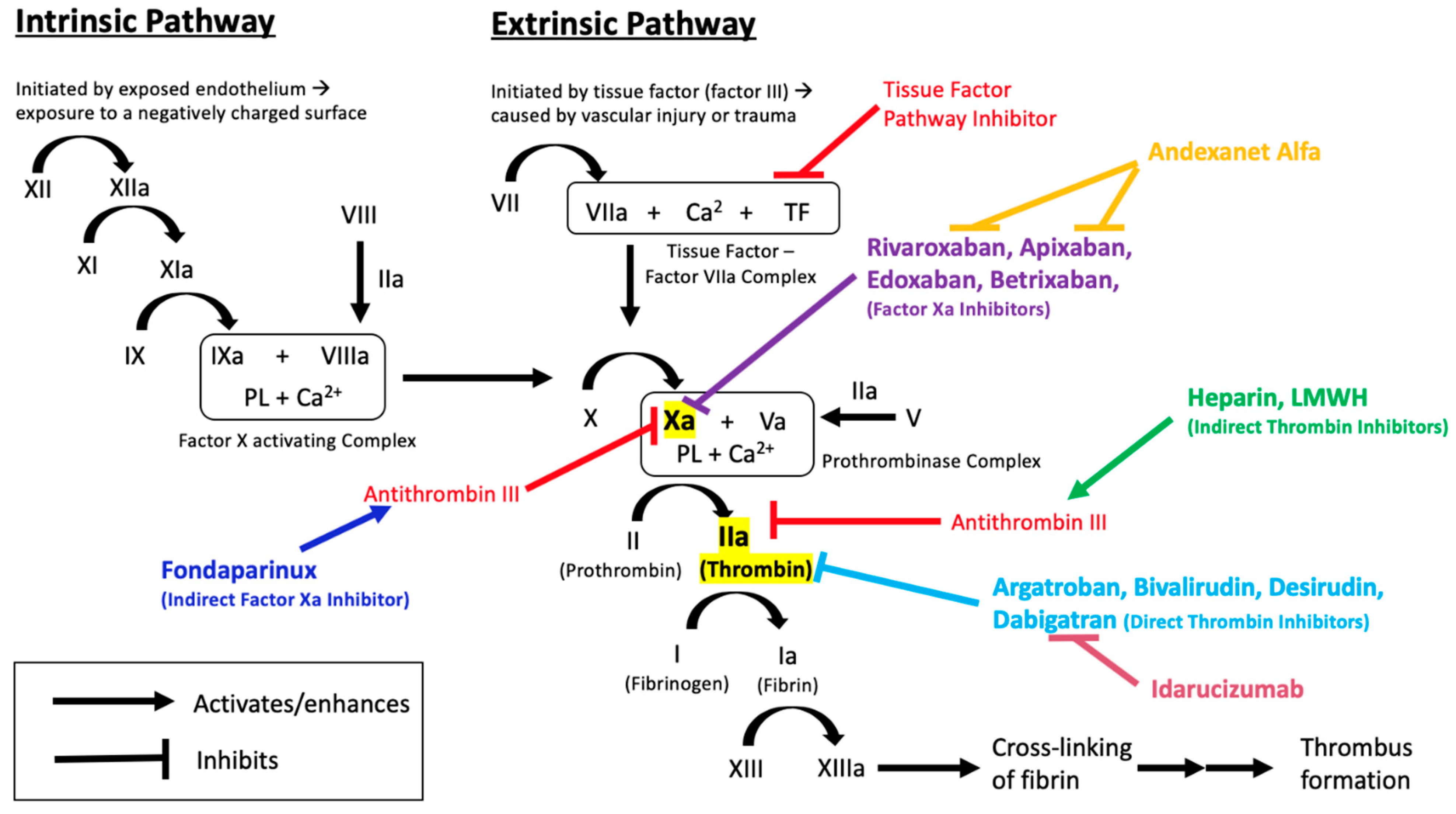 Noac Dosing Chart