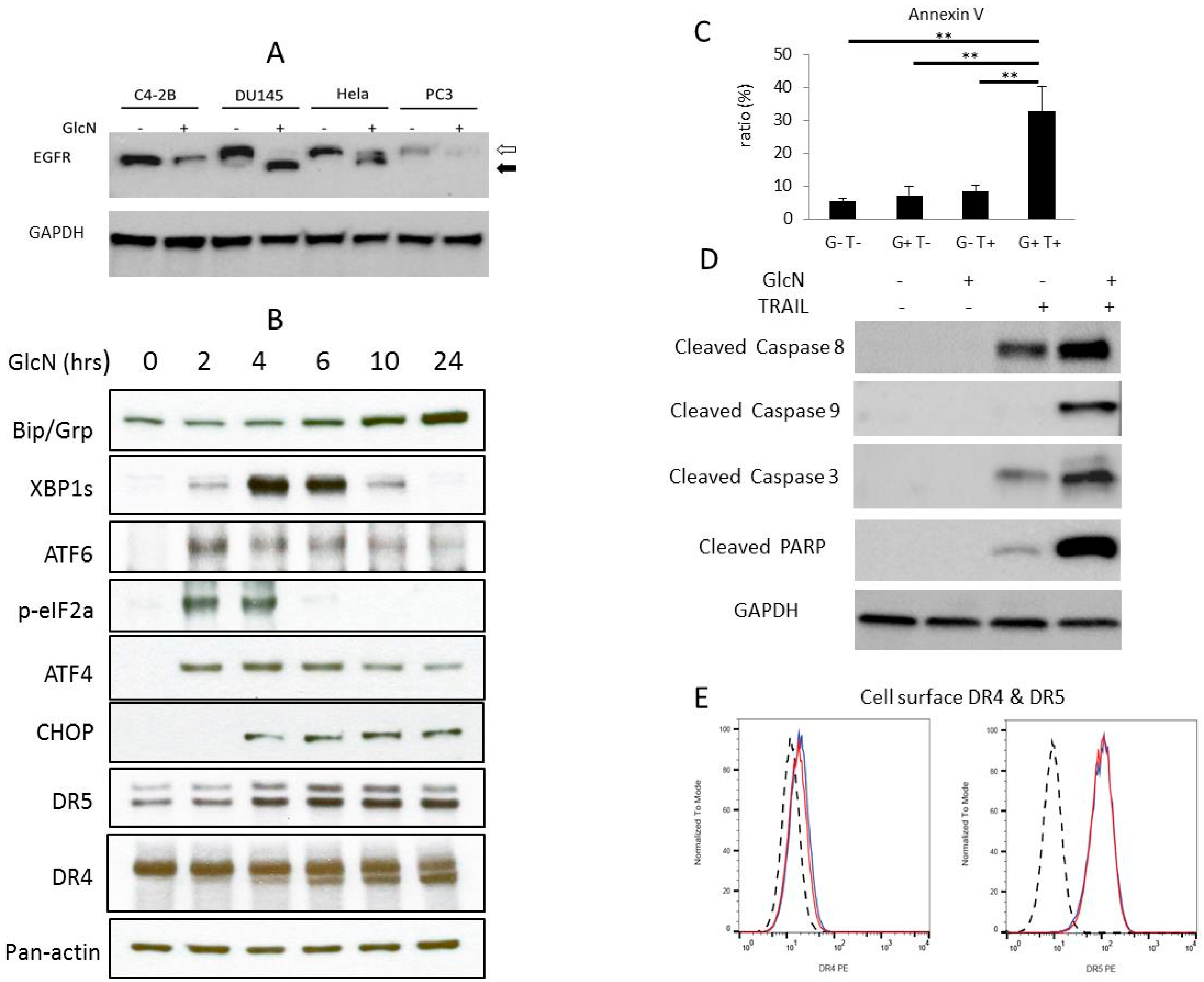Medicines 06 00104 g001