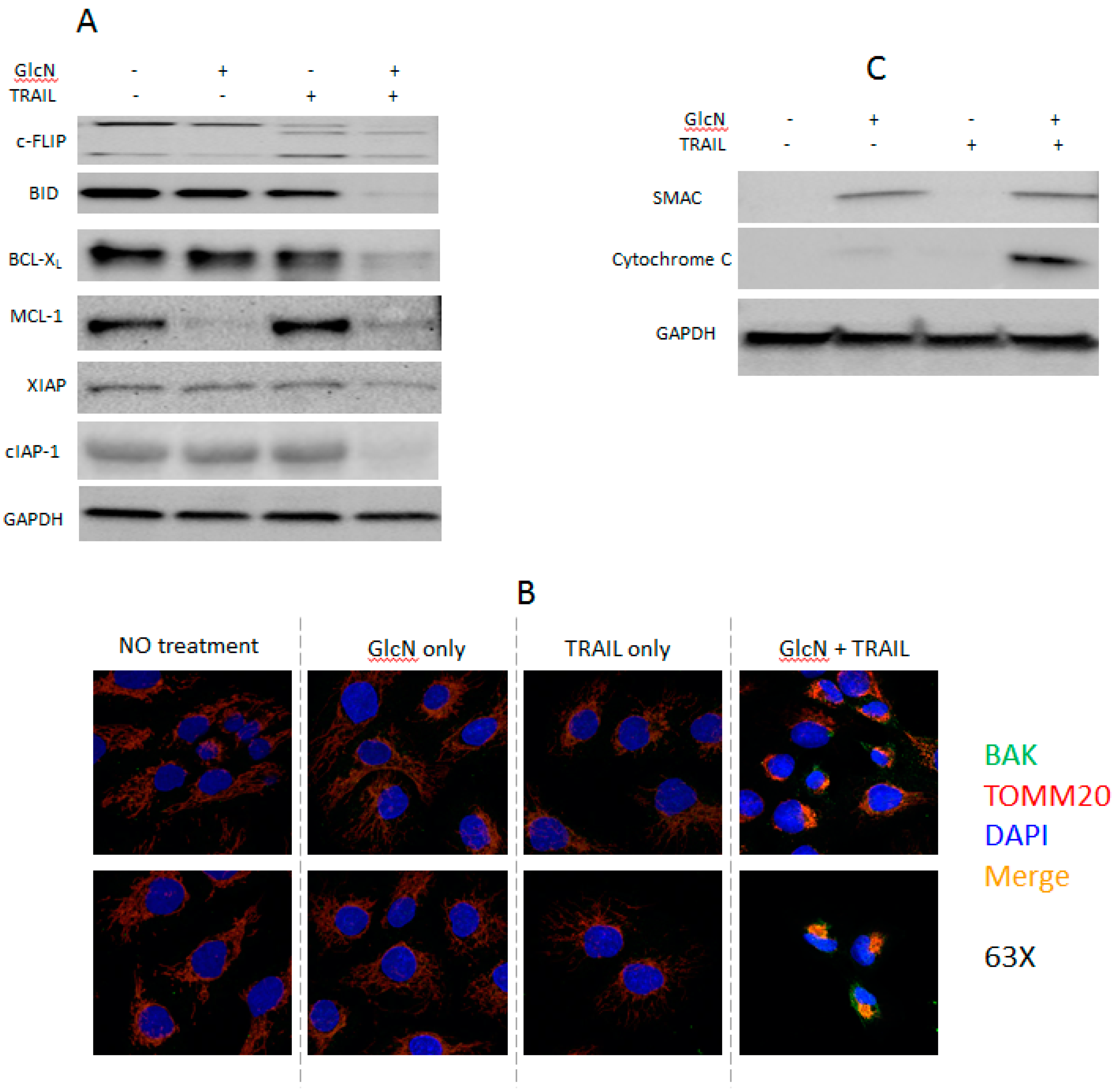 Medicines 06 00104 g002