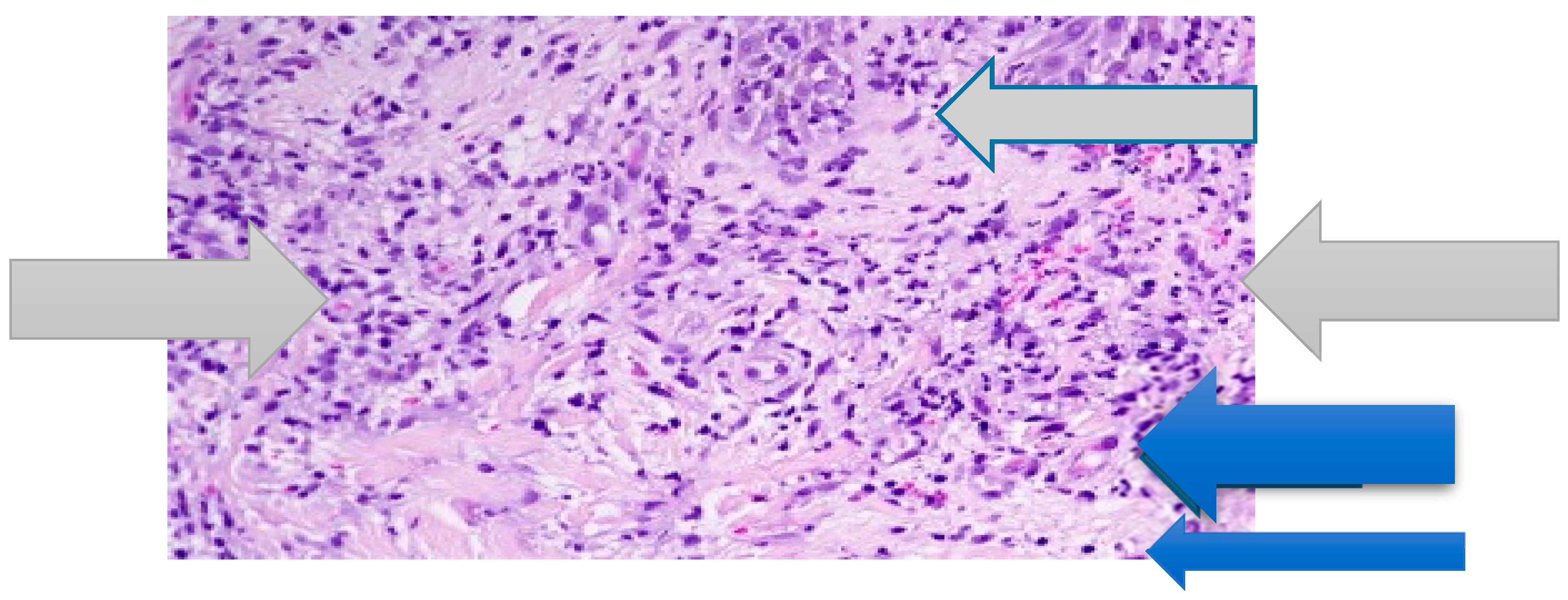 Medicines 06 00111 g002