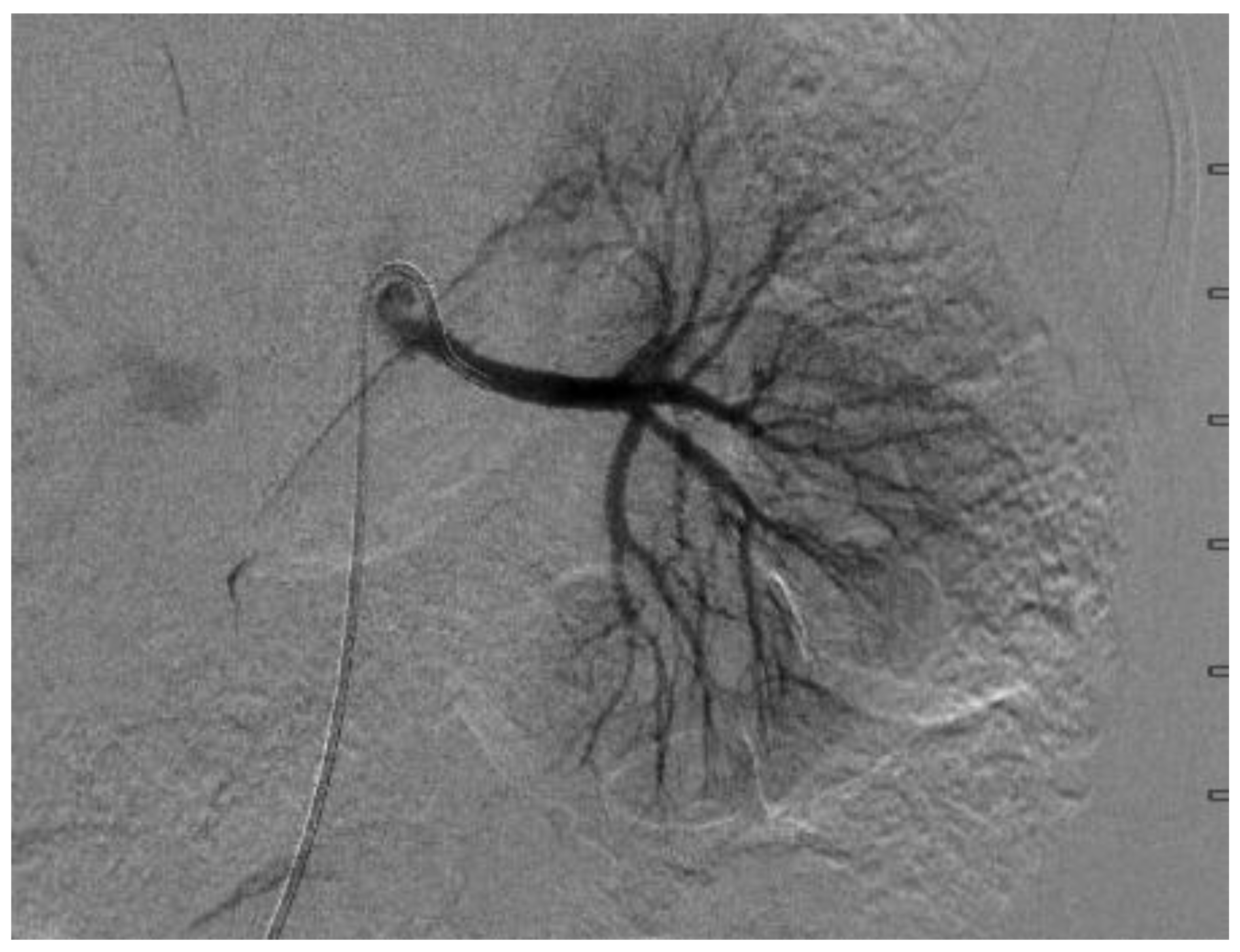 Medicines 07 00009 g004