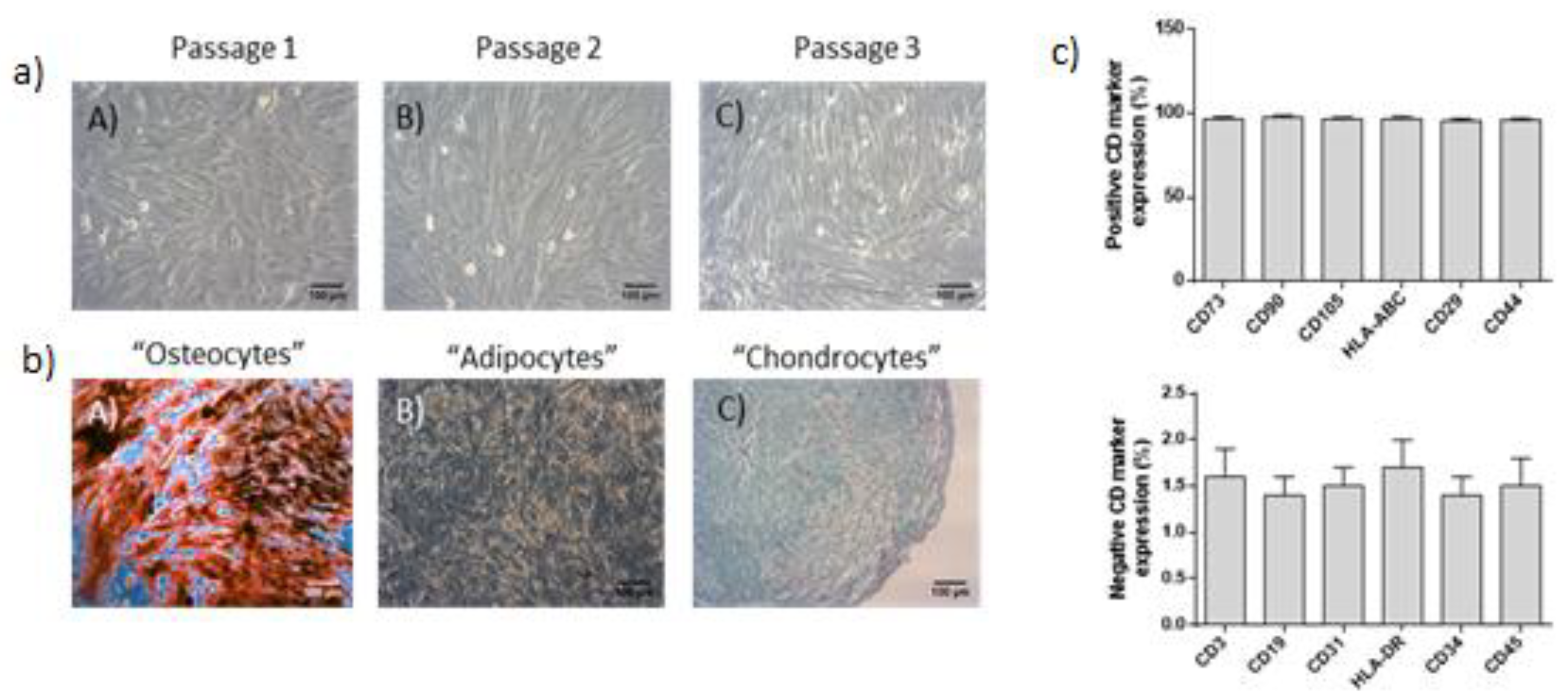 Medicines 07 00014 g001 Medicines 07 00014 g001