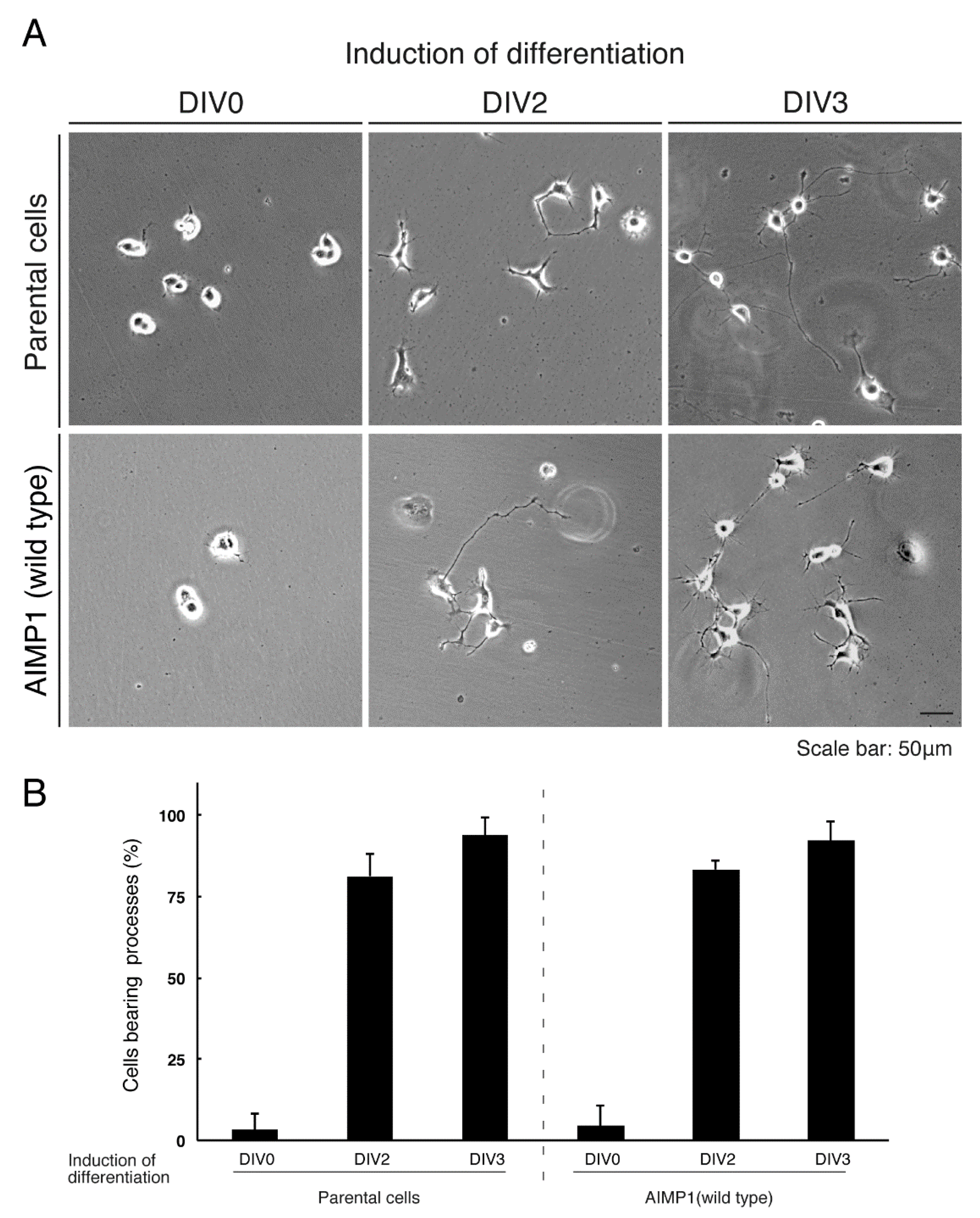 Medicines 07 00025 g011 Medicines 07 00025 g011