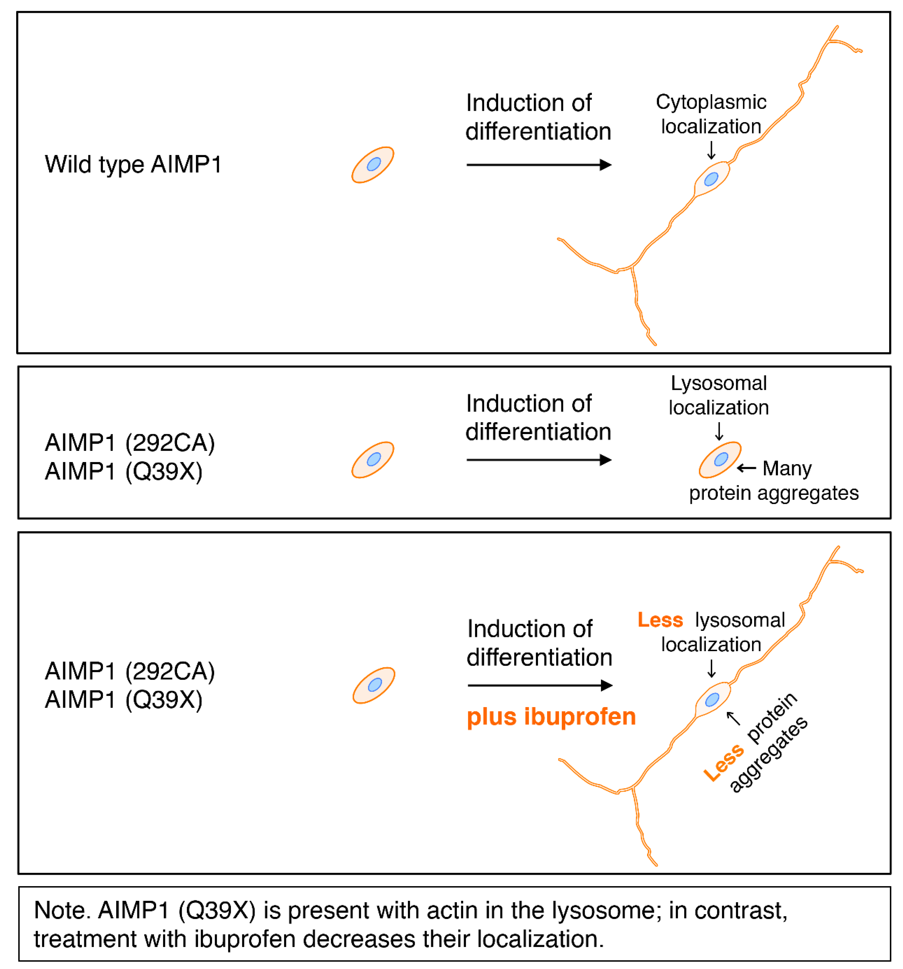 Medicines 07 00025 g014 Medicines 07 00025 g014