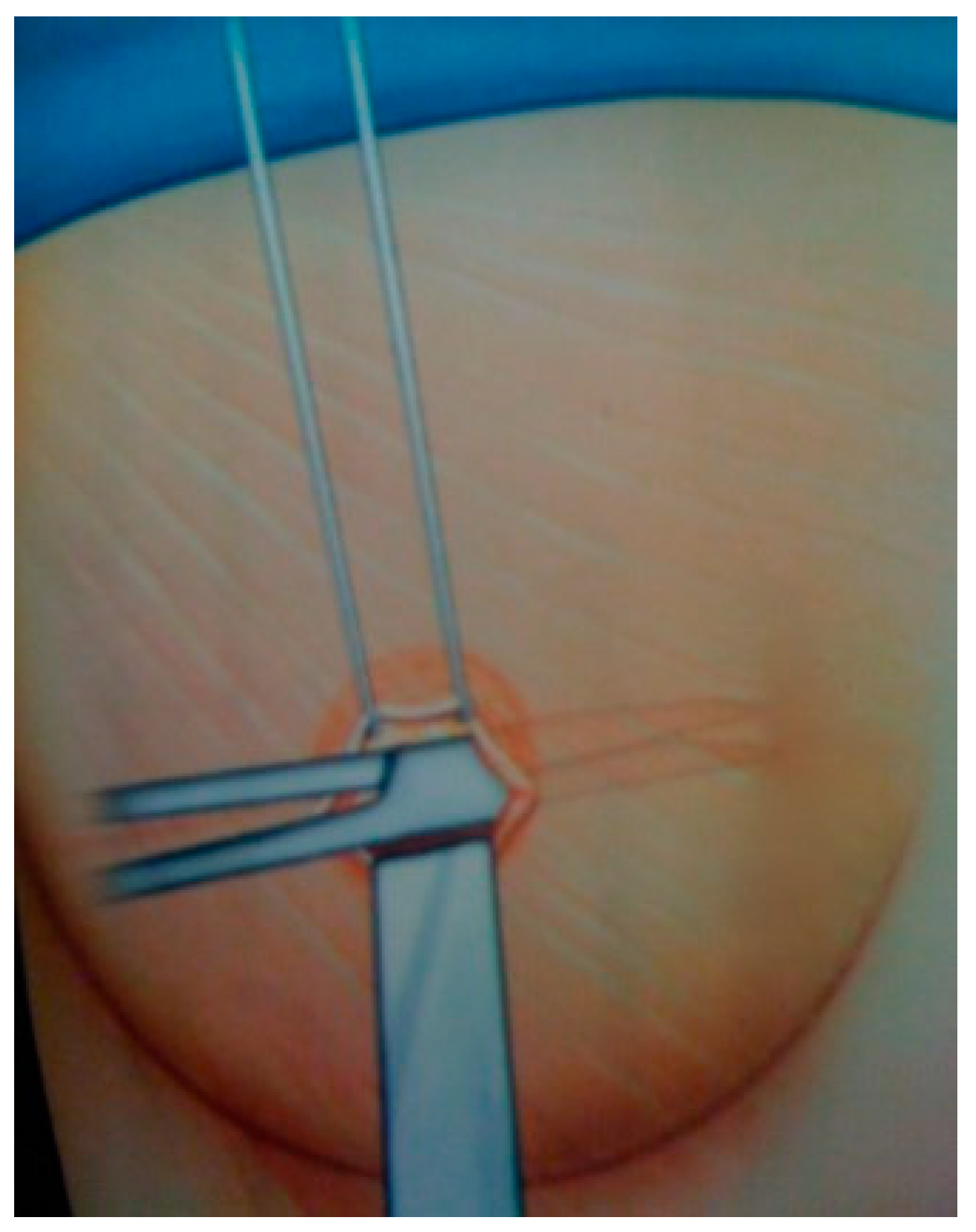 Medicines 07 00028 g002