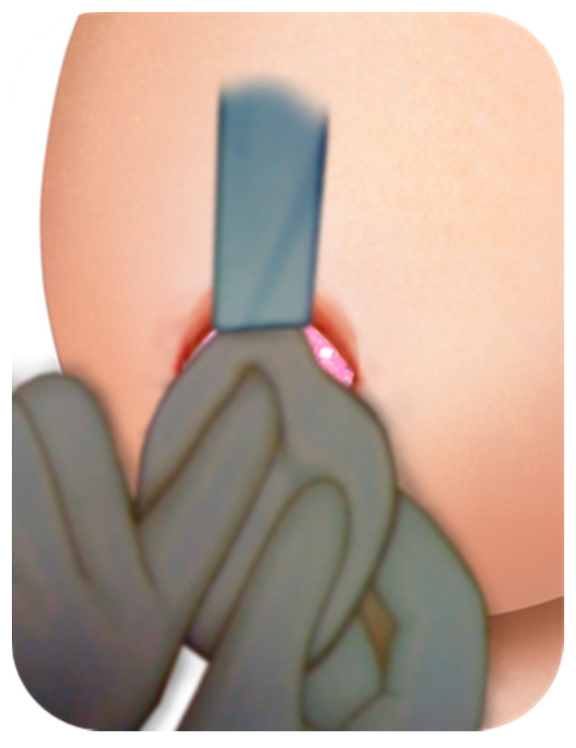 Medicines 07 00028 g004