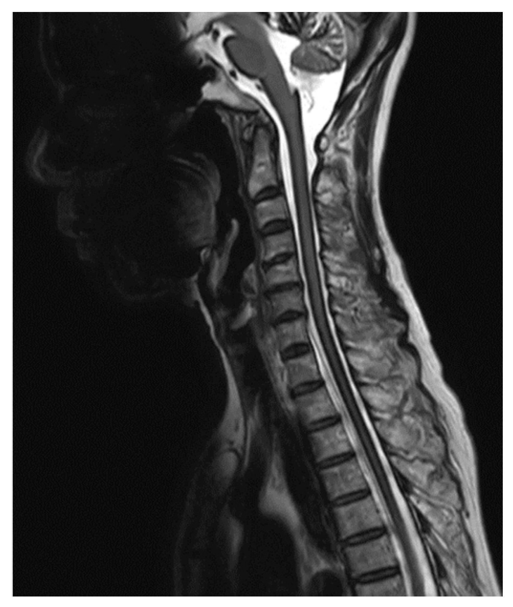 Medicines 07 00036 g001