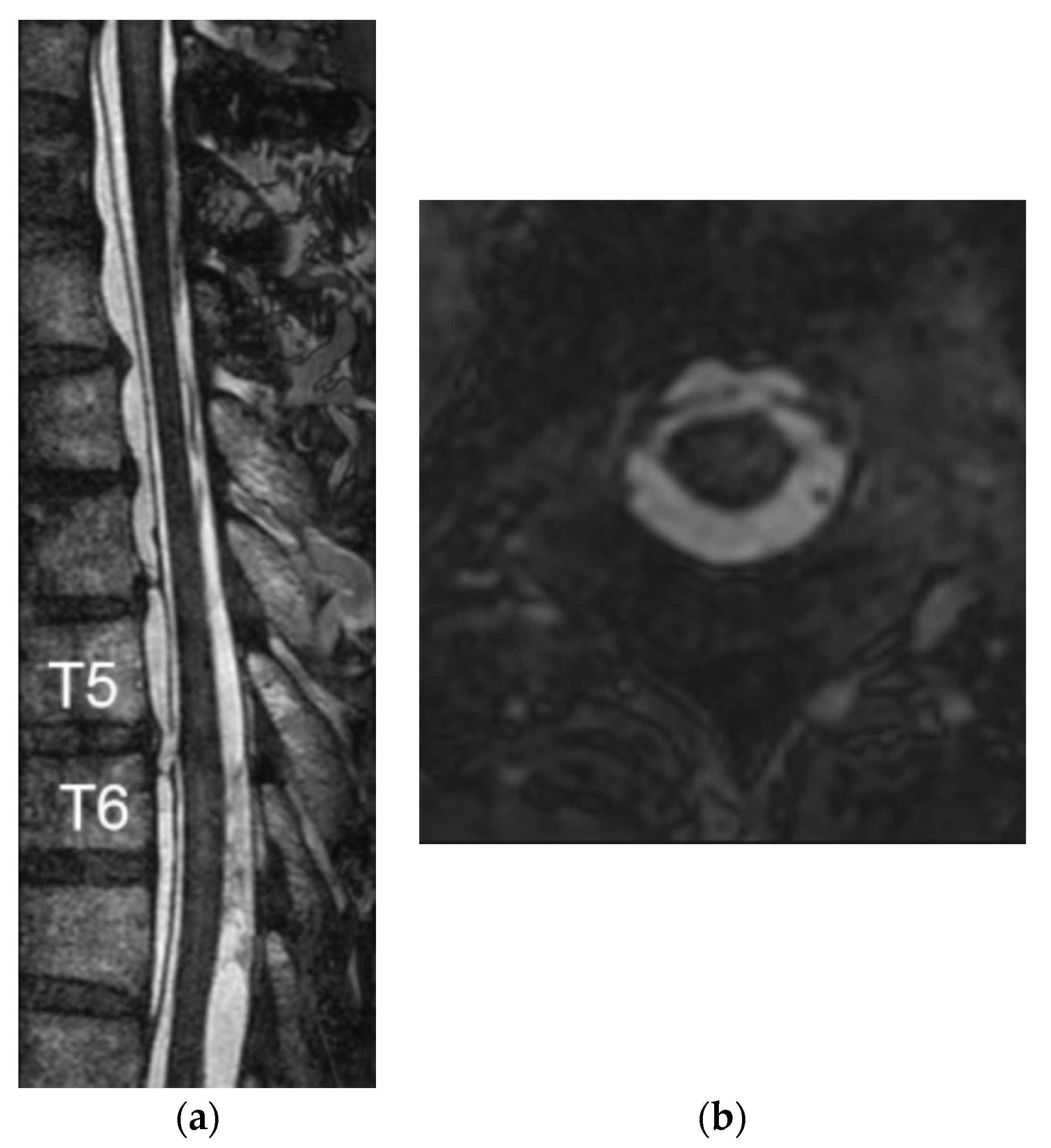 Medicines 07 00036 g002