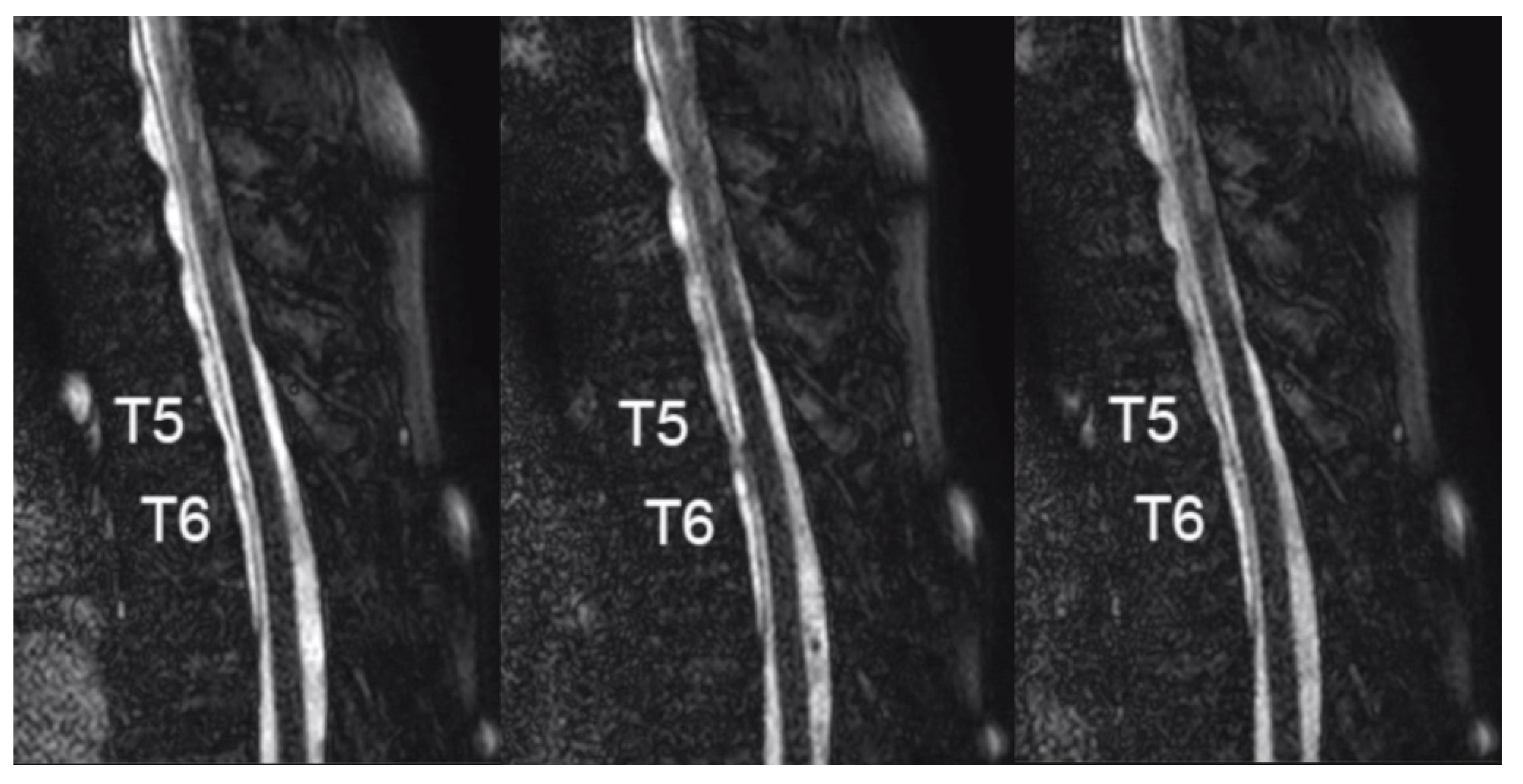 Medicines 07 00036 g003