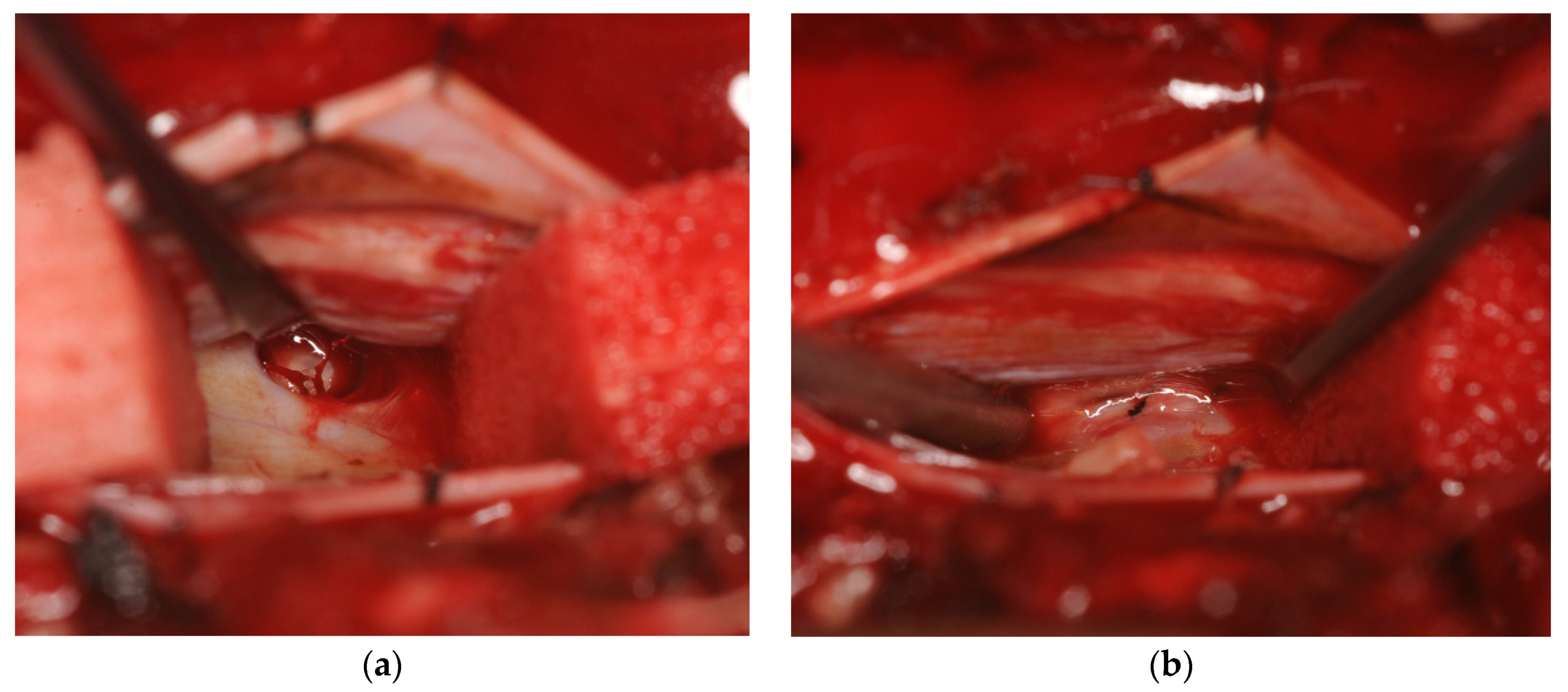 Medicines 07 00036 g004