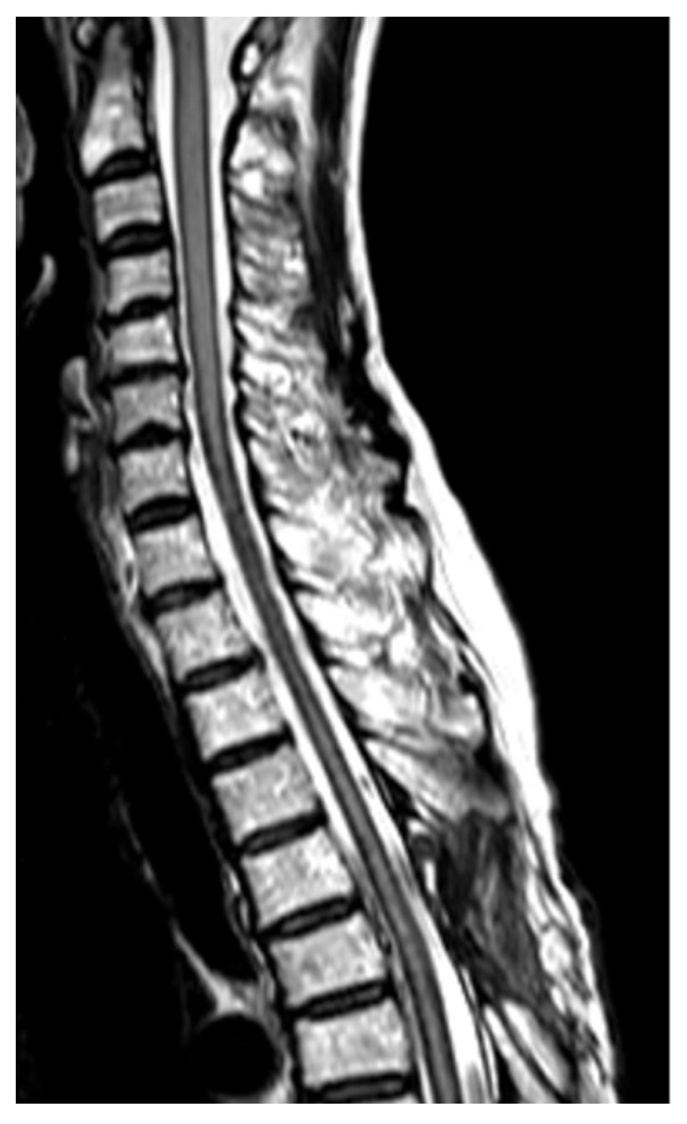 Medicines 07 00036 g005