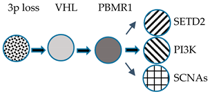 Medicines 07 00044 i002 Medicines 07 00044 i002