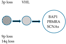 Medicines 07 00044 i003 Medicines 07 00044 i003