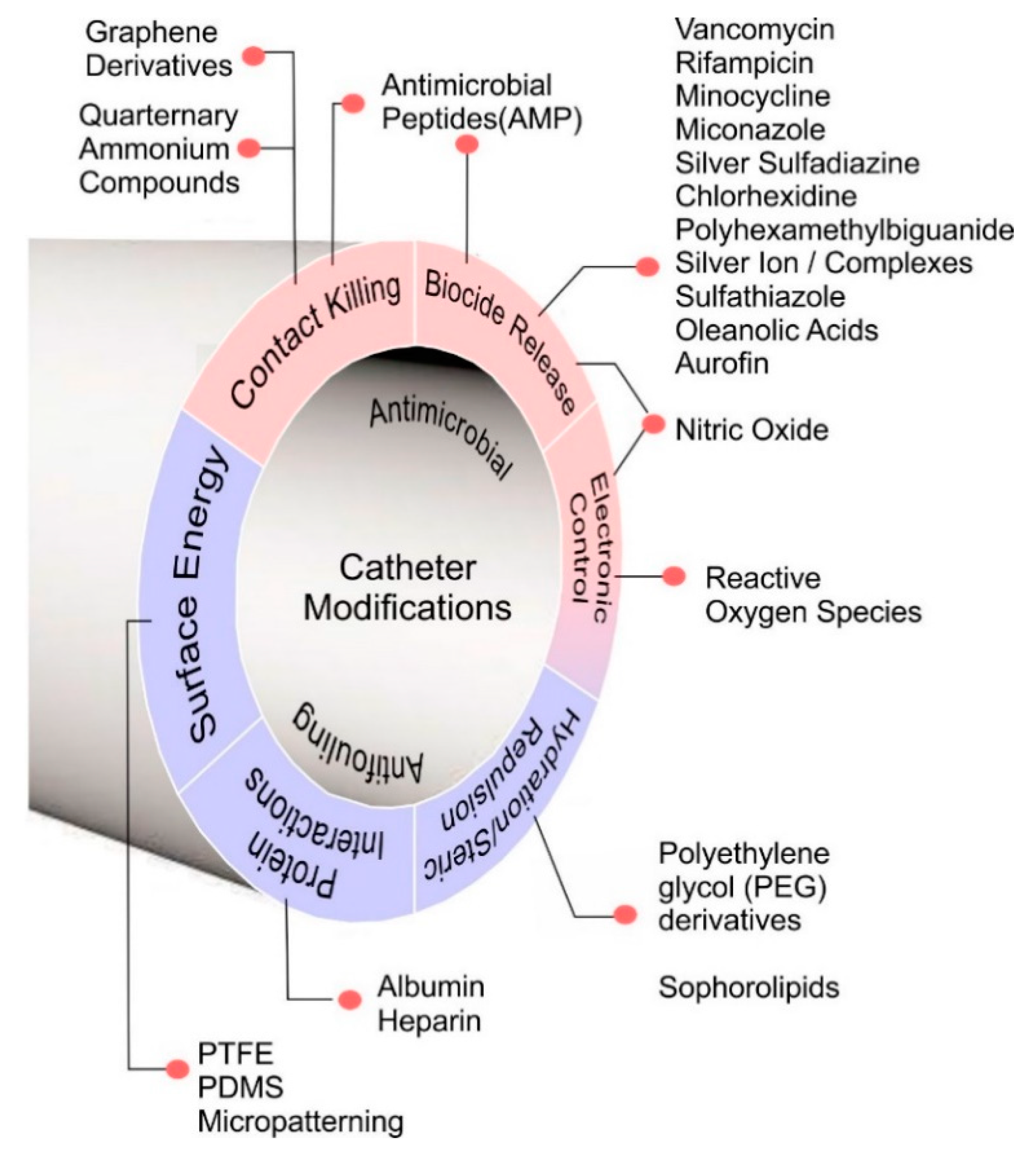 Medicines 07 00049 g005
