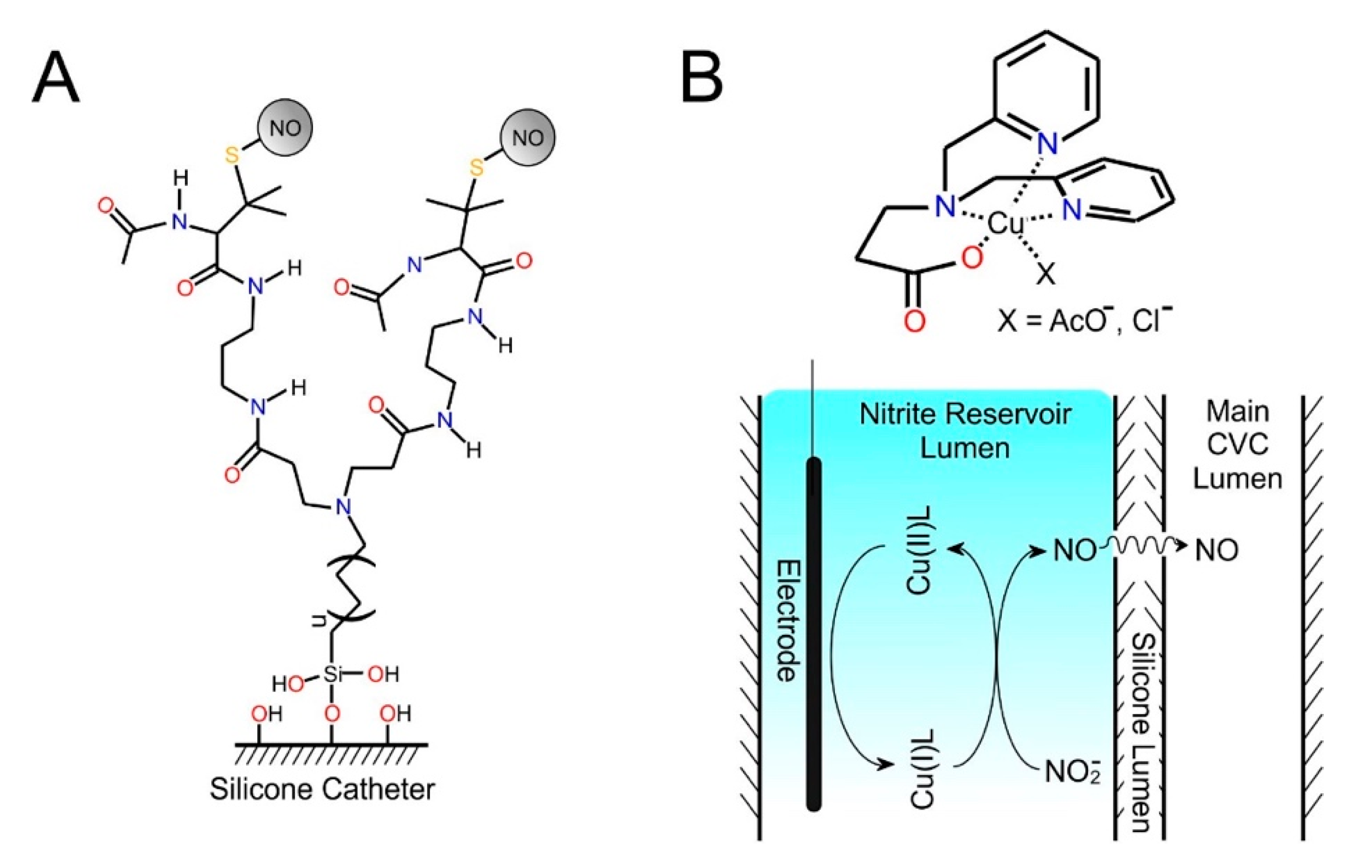Medicines 07 00049 g006