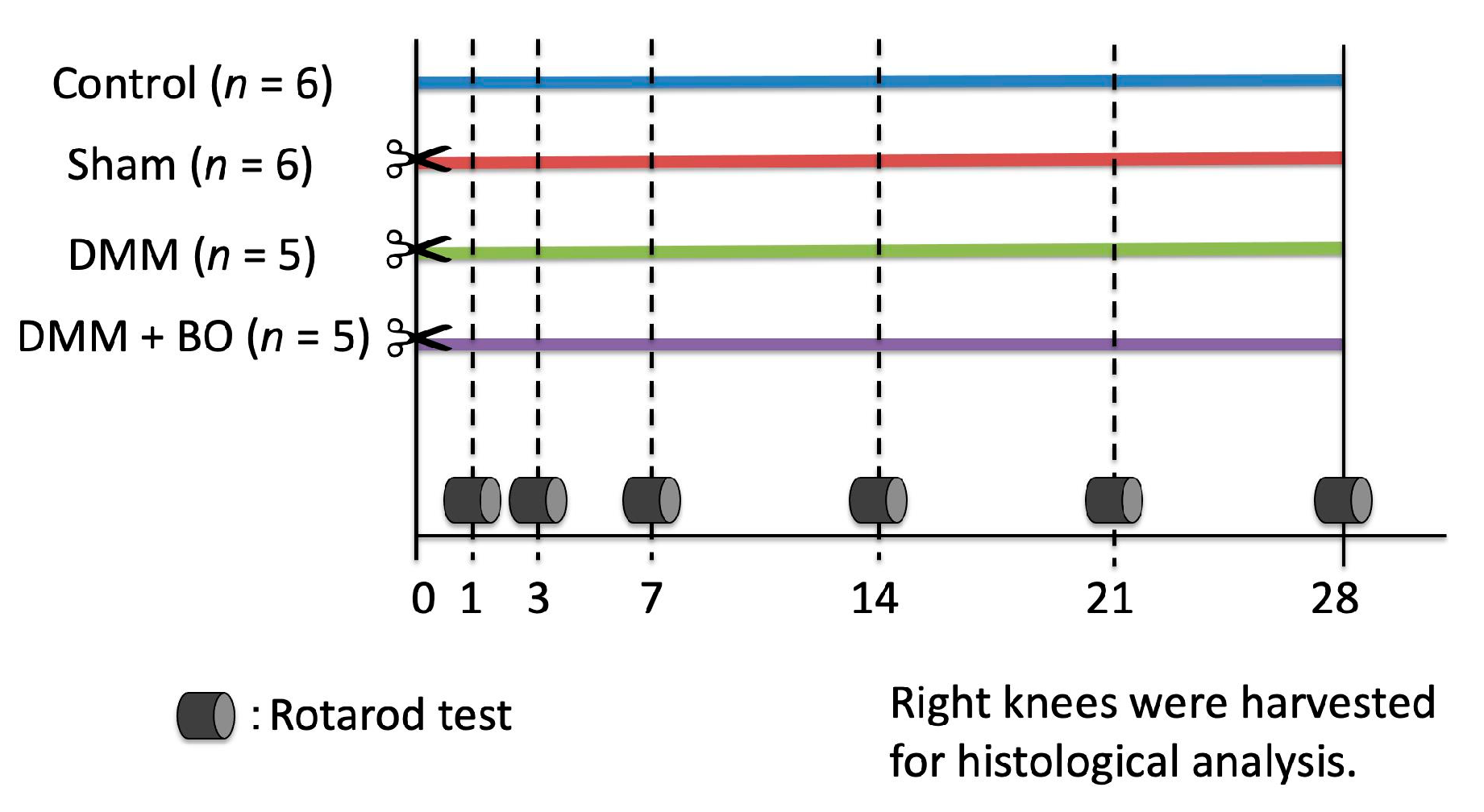 Medicines 07 00074 g001 Medicines 07 00074 g001