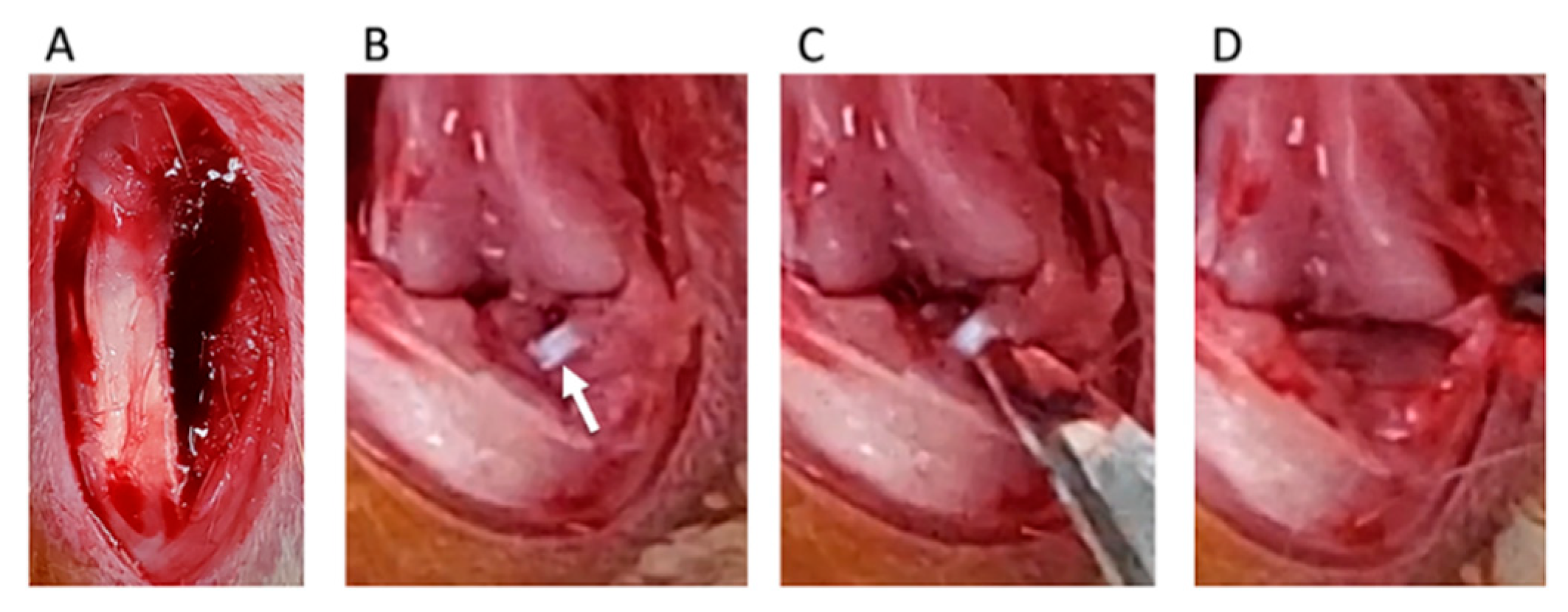 Medicines 07 00074 g002 Medicines 07 00074 g002