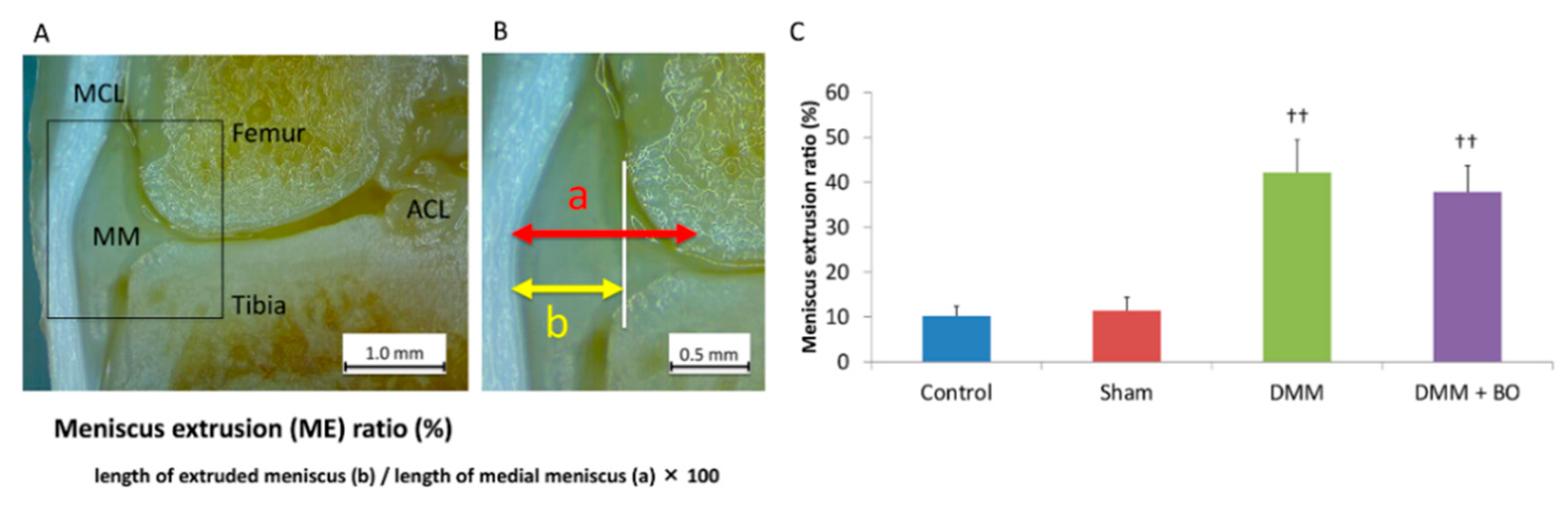 Medicines 07 00074 g003 Medicines 07 00074 g003
