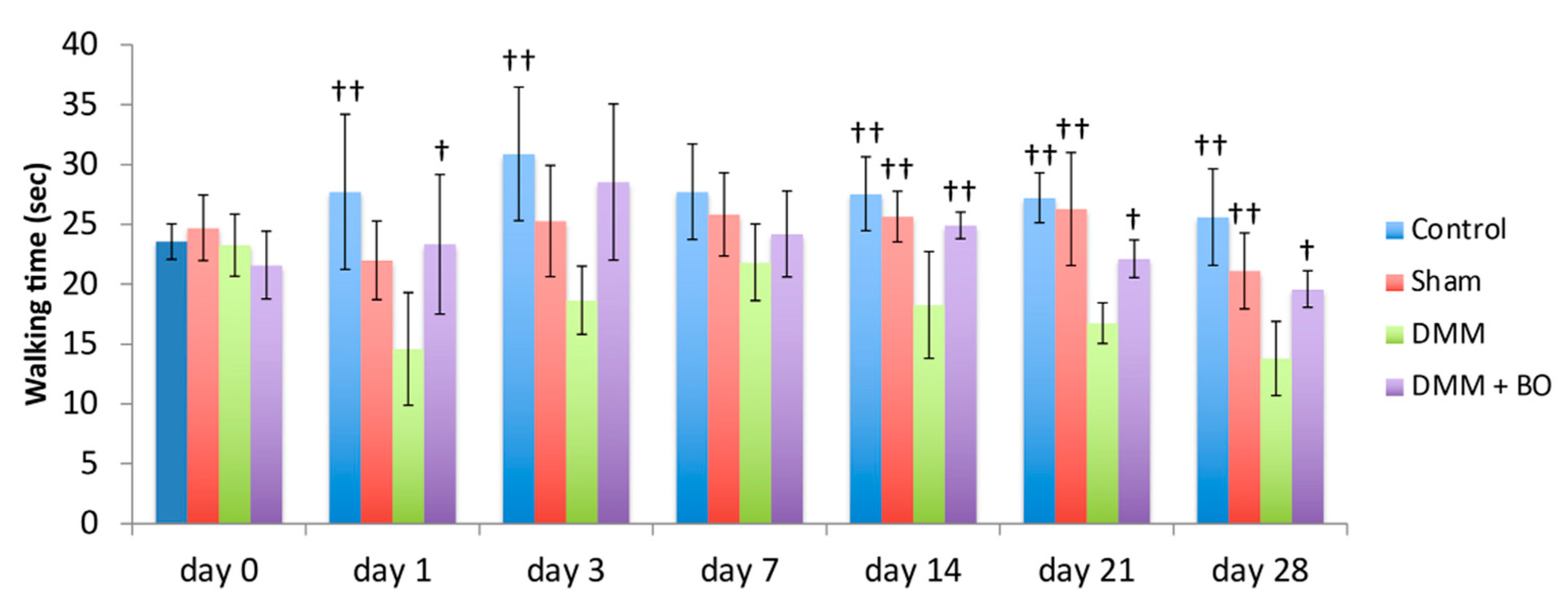 Medicines 07 00074 g004 Medicines 07 00074 g004
