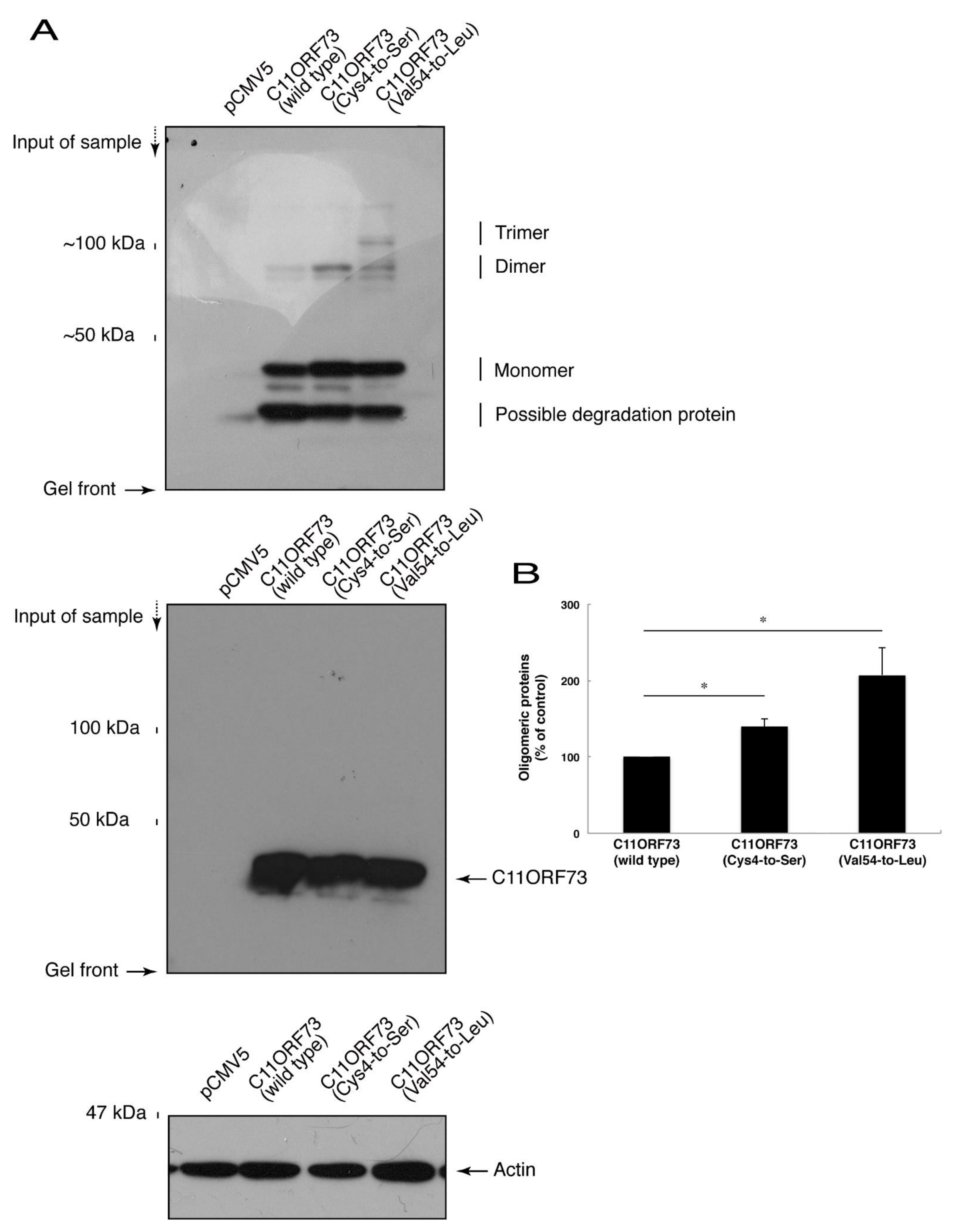 Medicines 08 00009 g005