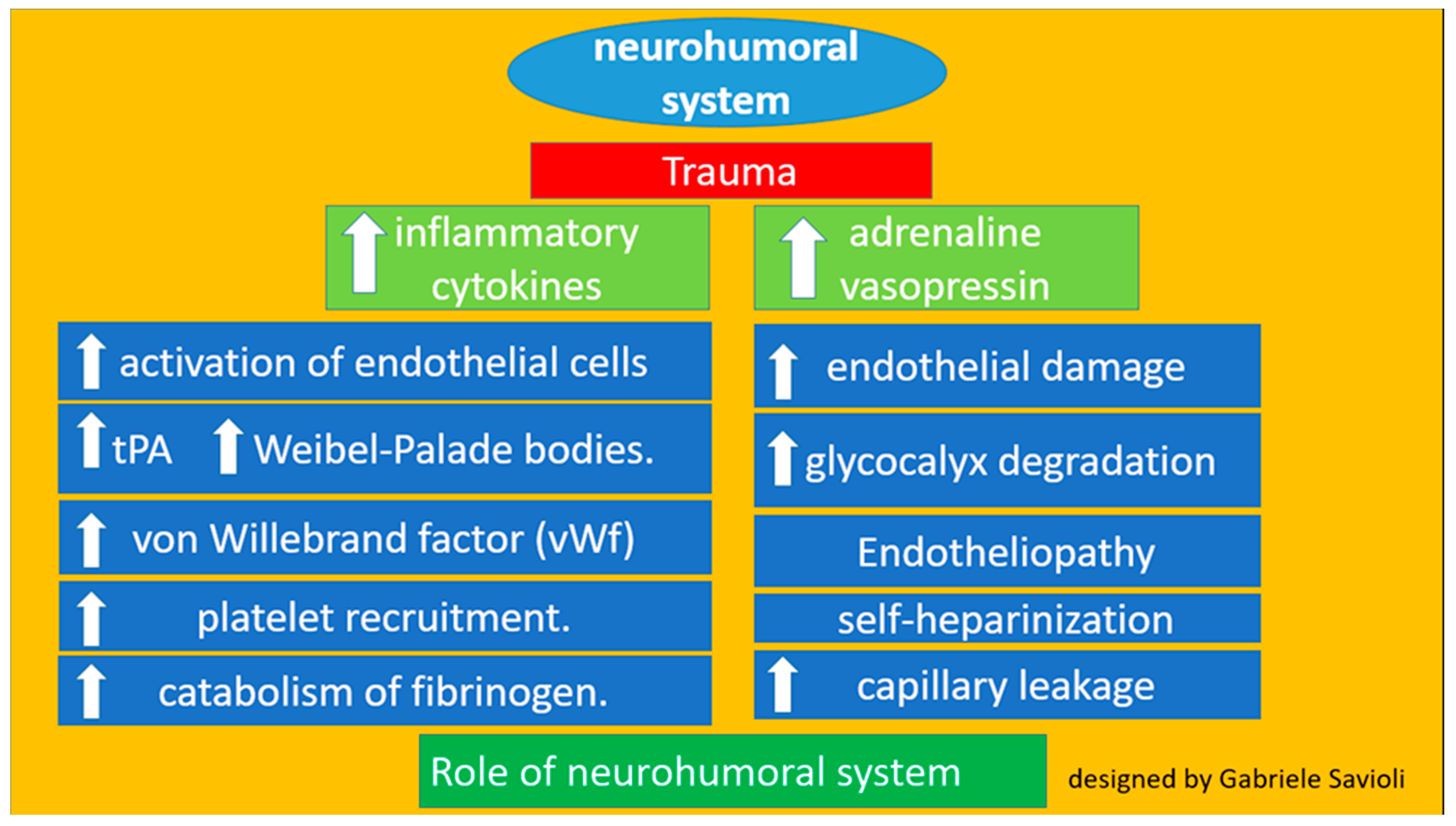 Medicines 08 00016 g004 Medicines 08 00016 g004