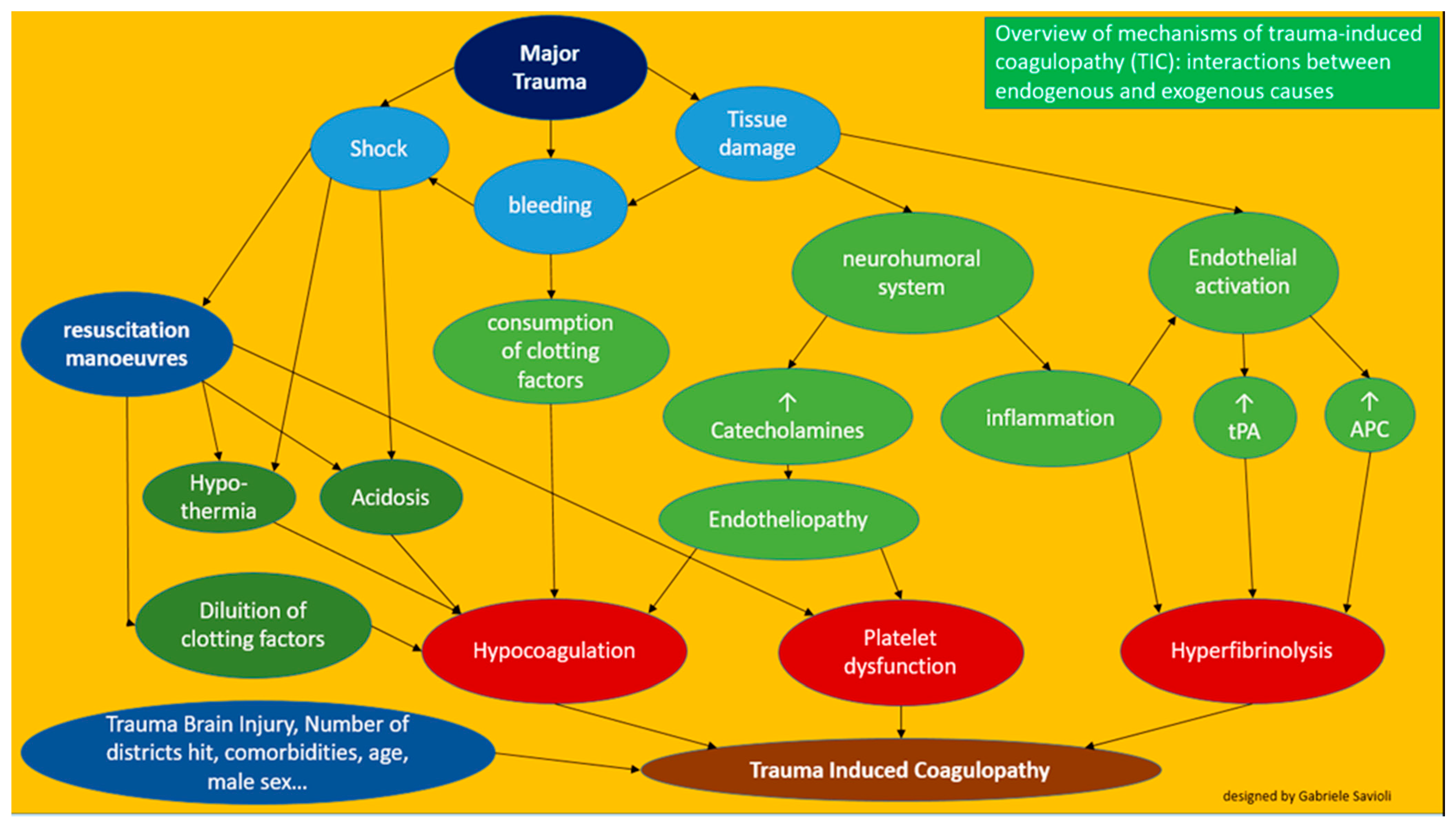 Medicines 08 00016 g005 Medicines 08 00016 g005