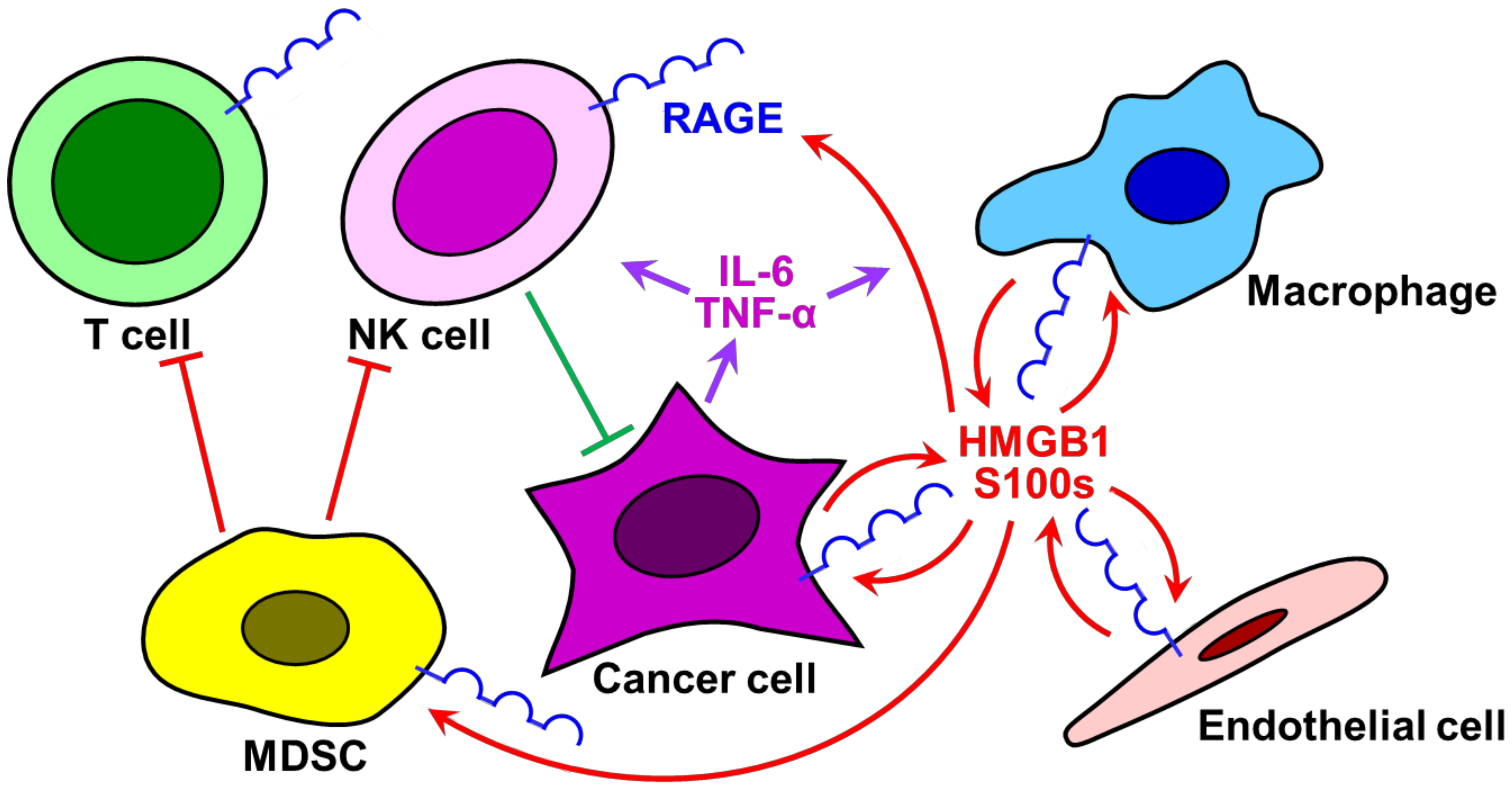 Medicines 08 00017 g001