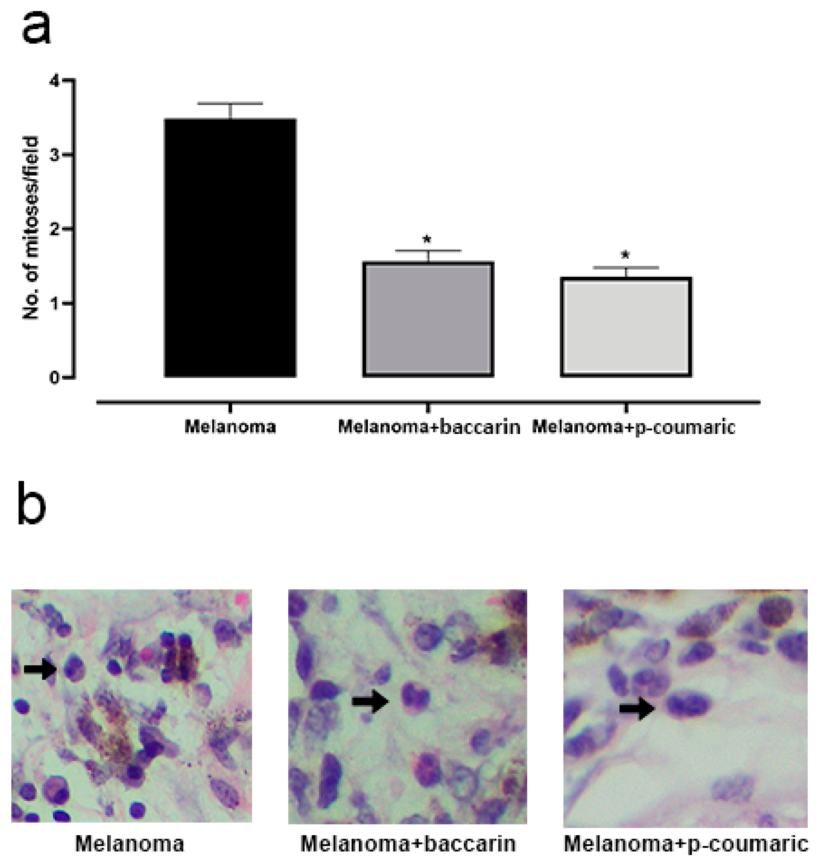 Medicines 08 00020 g002